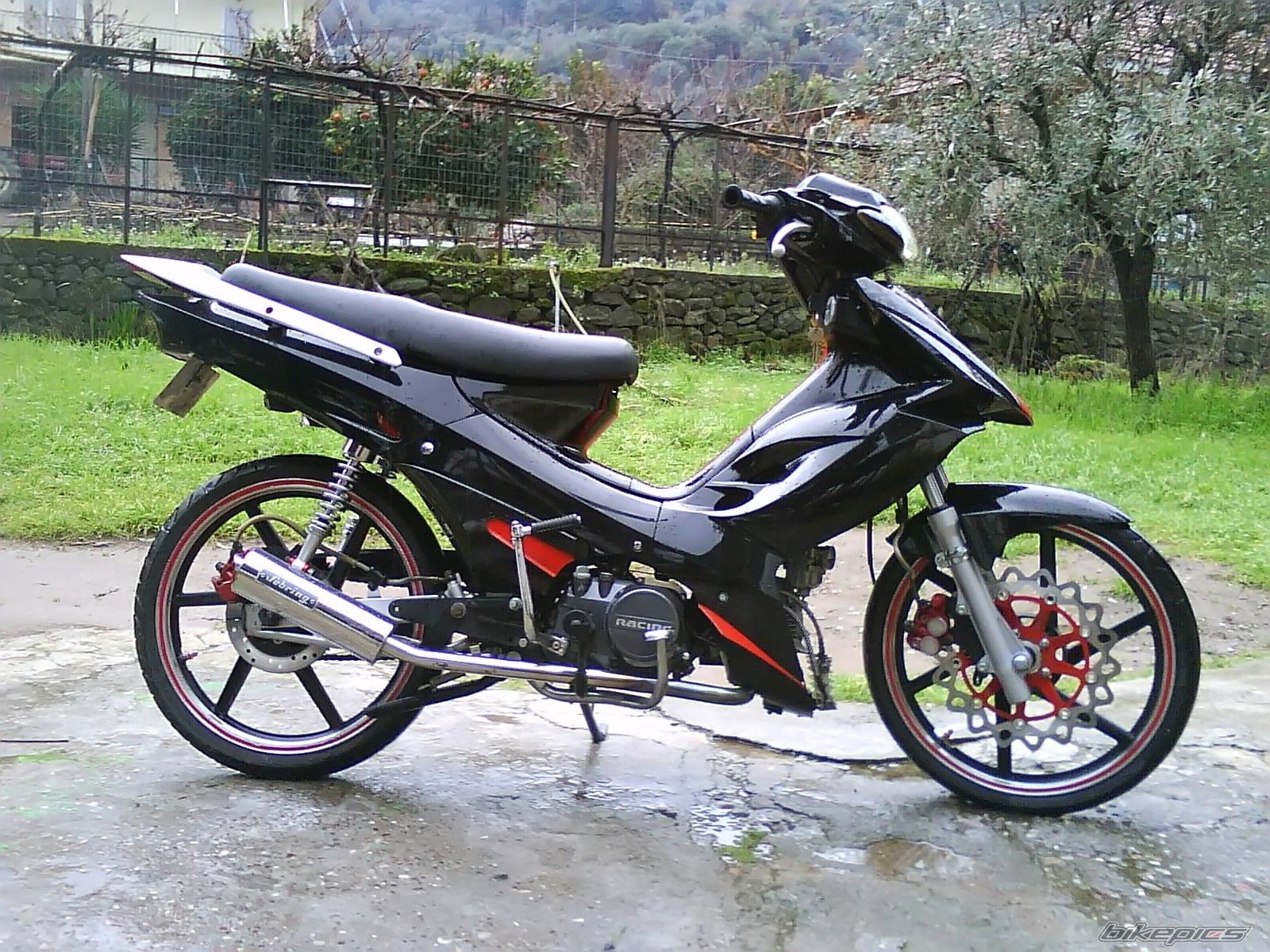 Photo 1541371