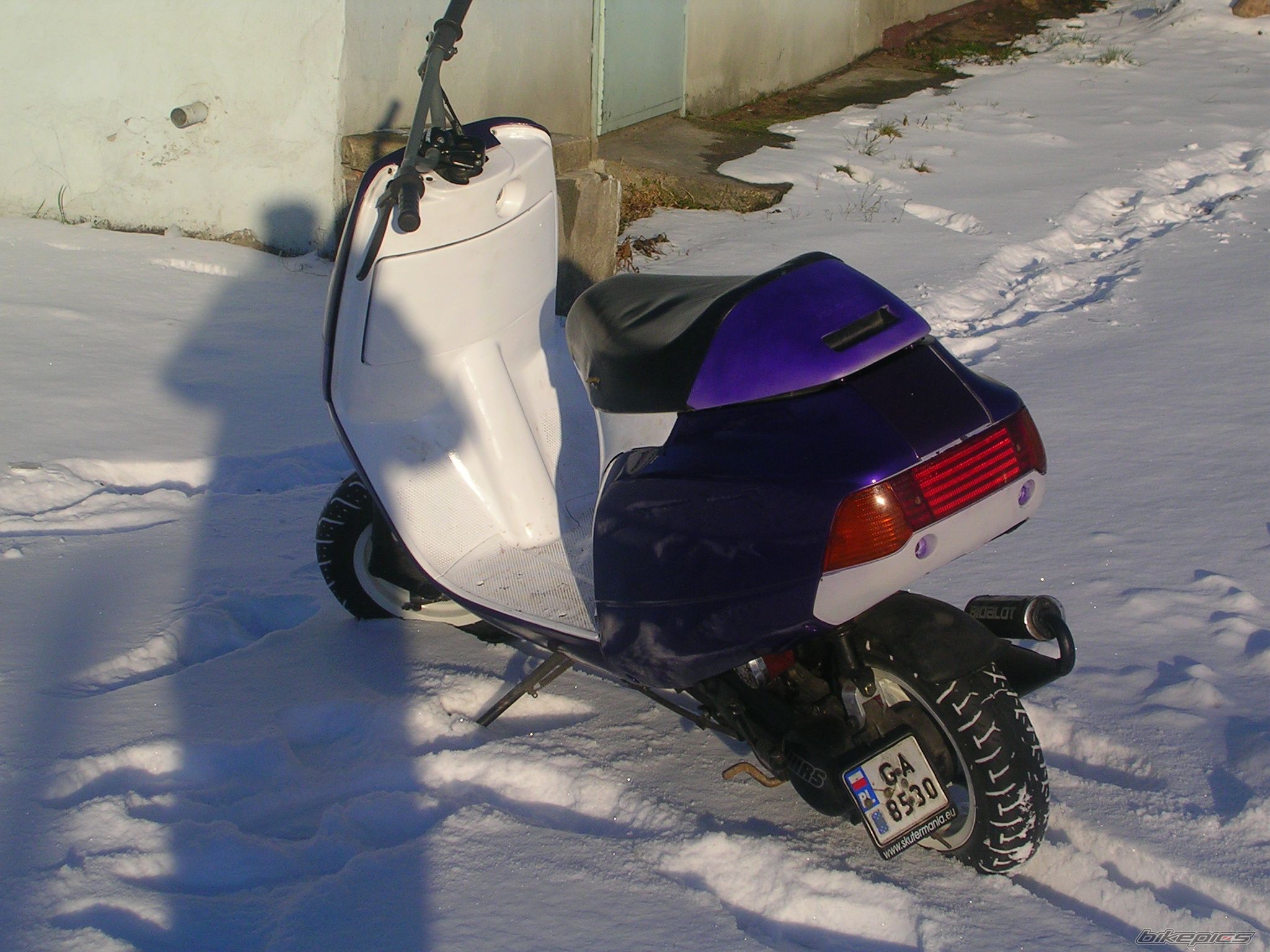 Photo 1541403