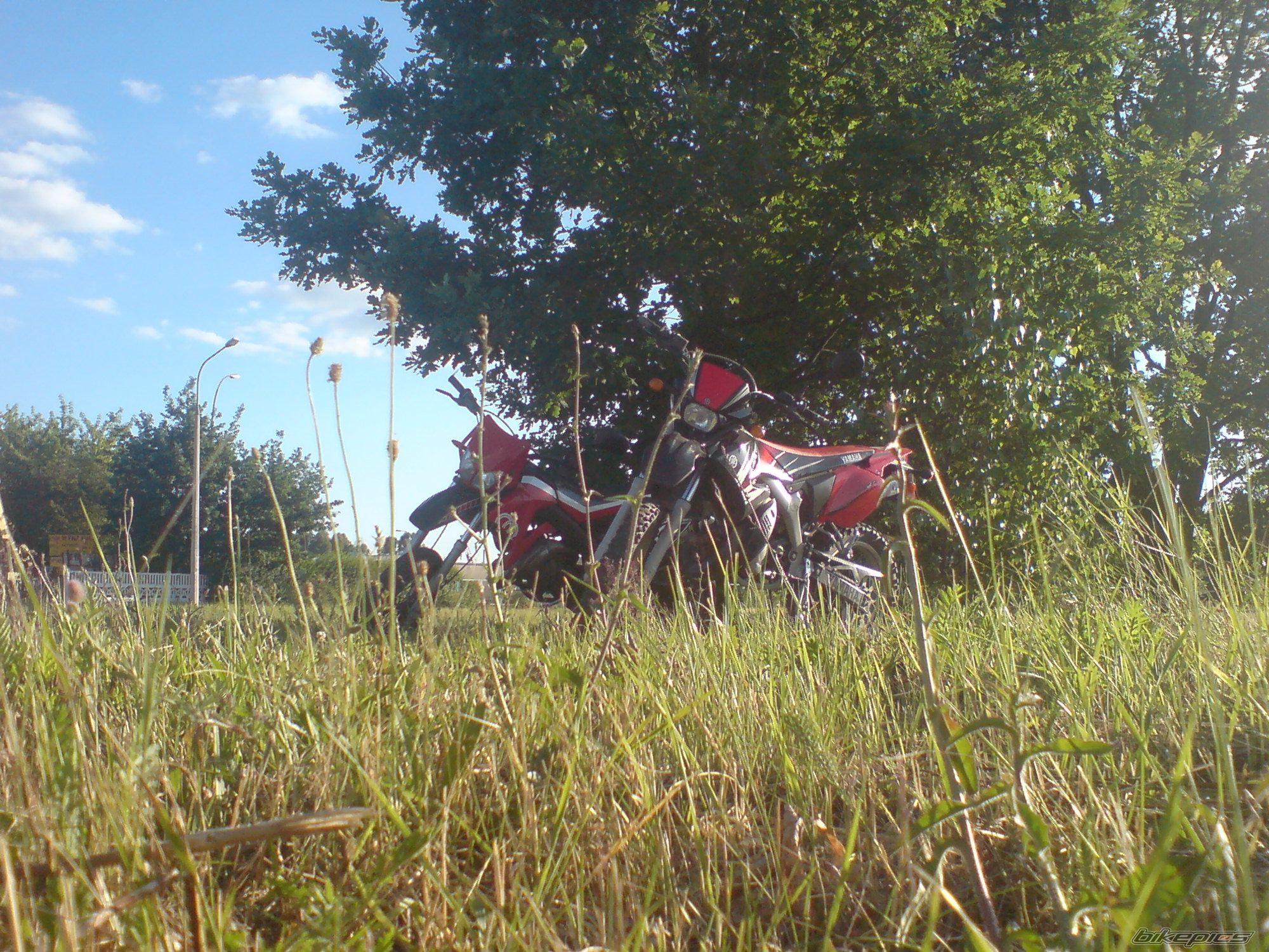 Bike Photo 1541431