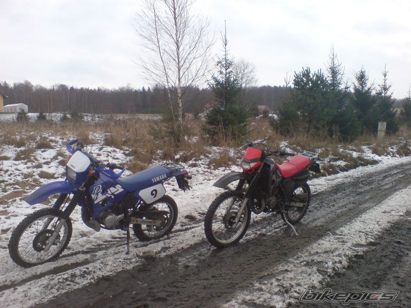 Photo 1541483