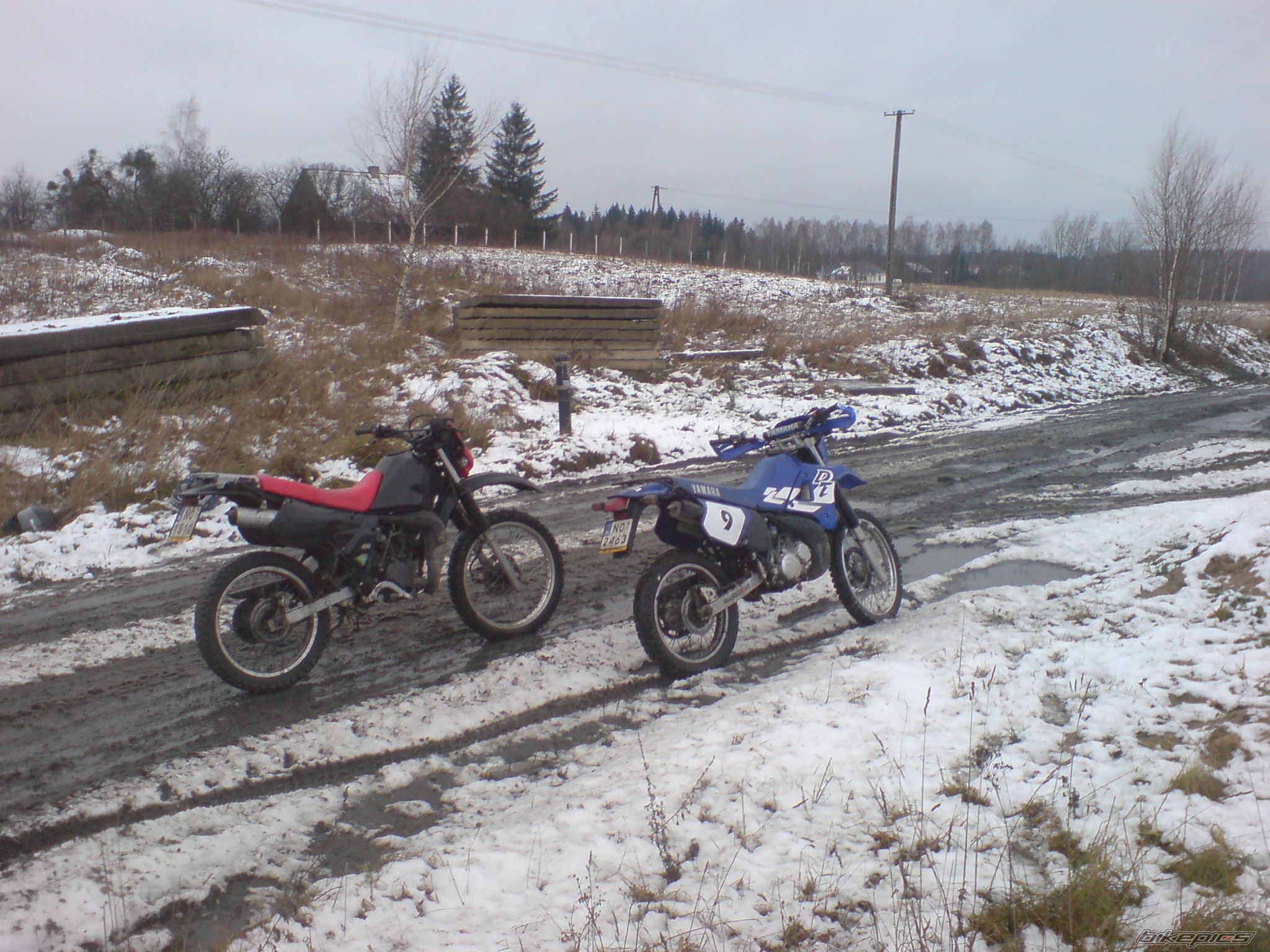 Photo 1541485