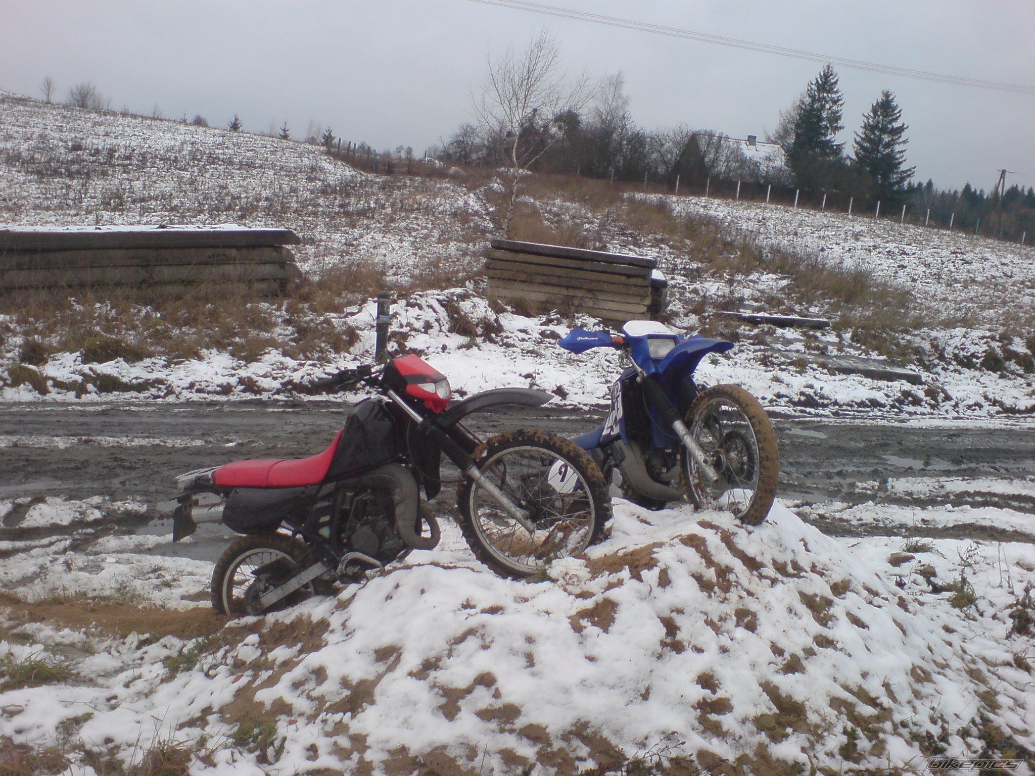 Photo 1541488