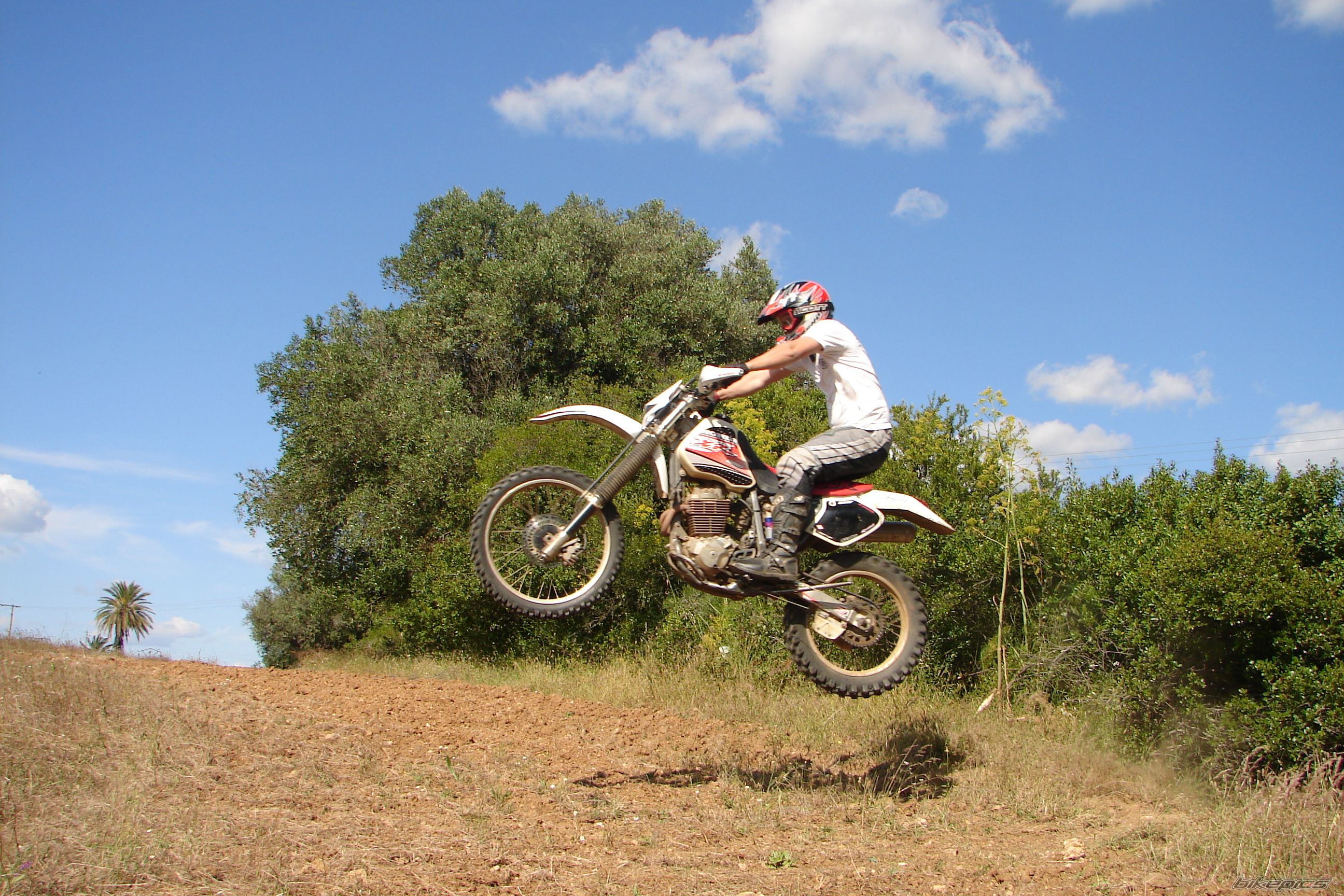 Bike Photo 1541515