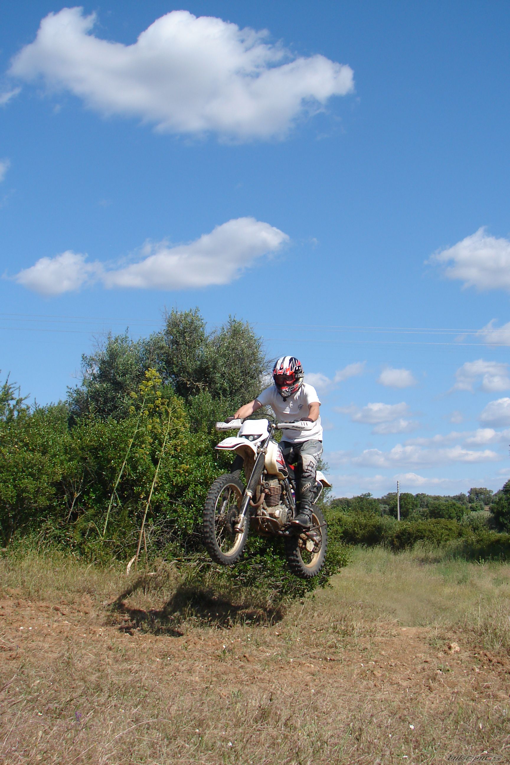 Bike Photo 1541516
