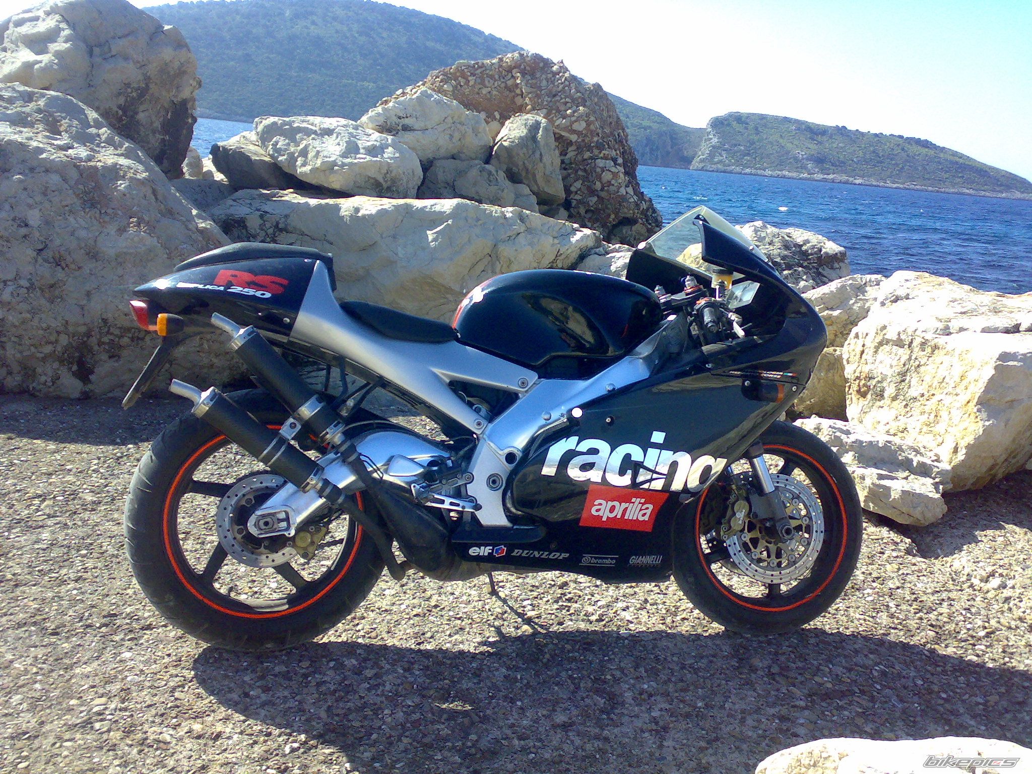 Photo 1541553
