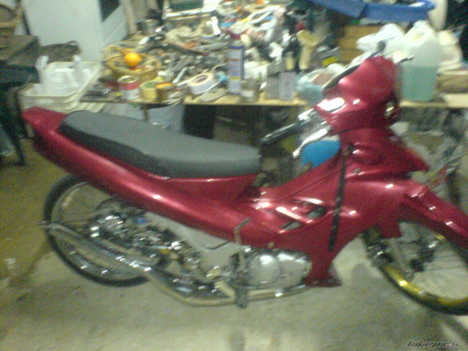 Photo 1541558