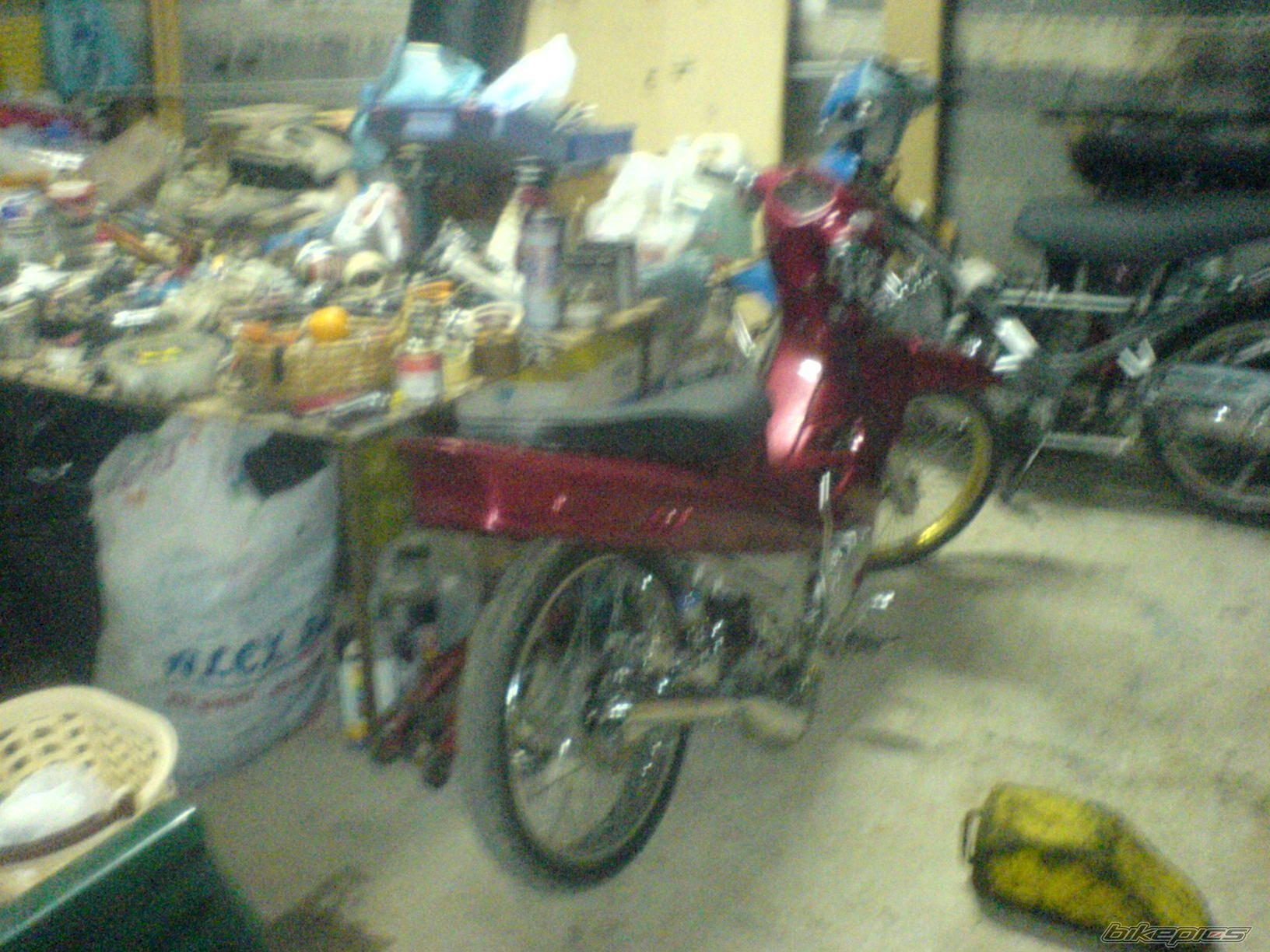 Photo 1541561