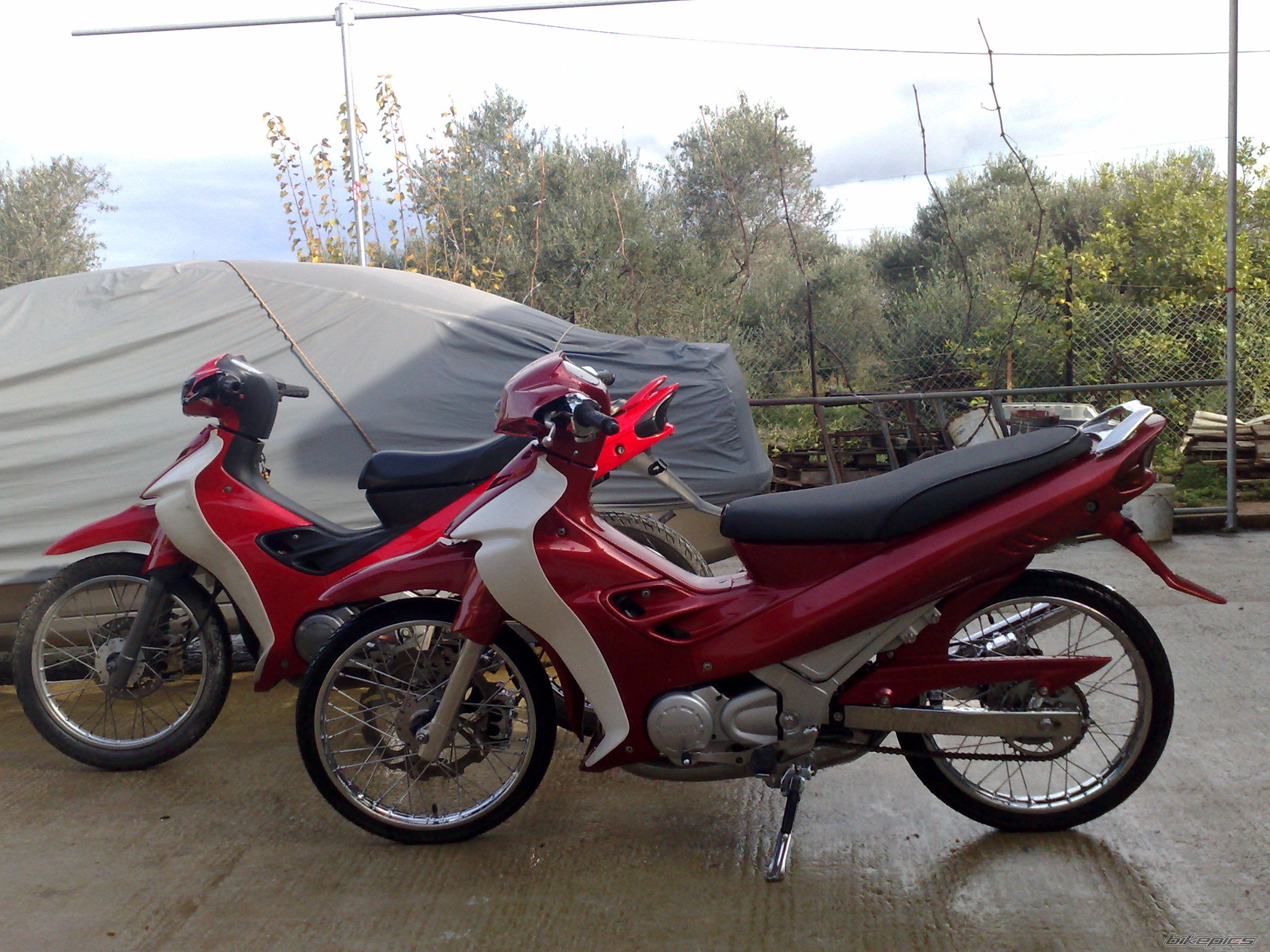 Photo 1541565