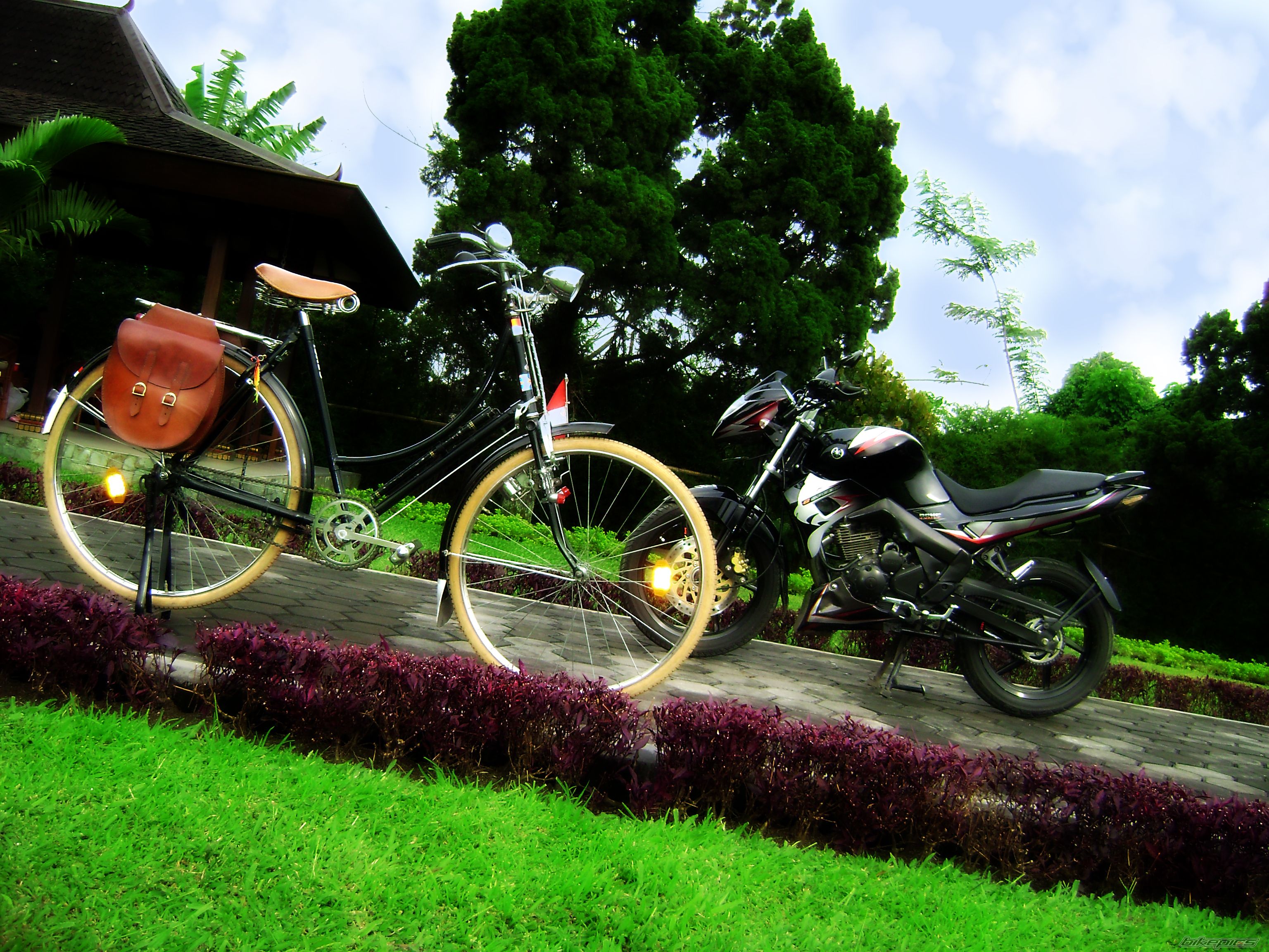 Bike Photo 1541566
