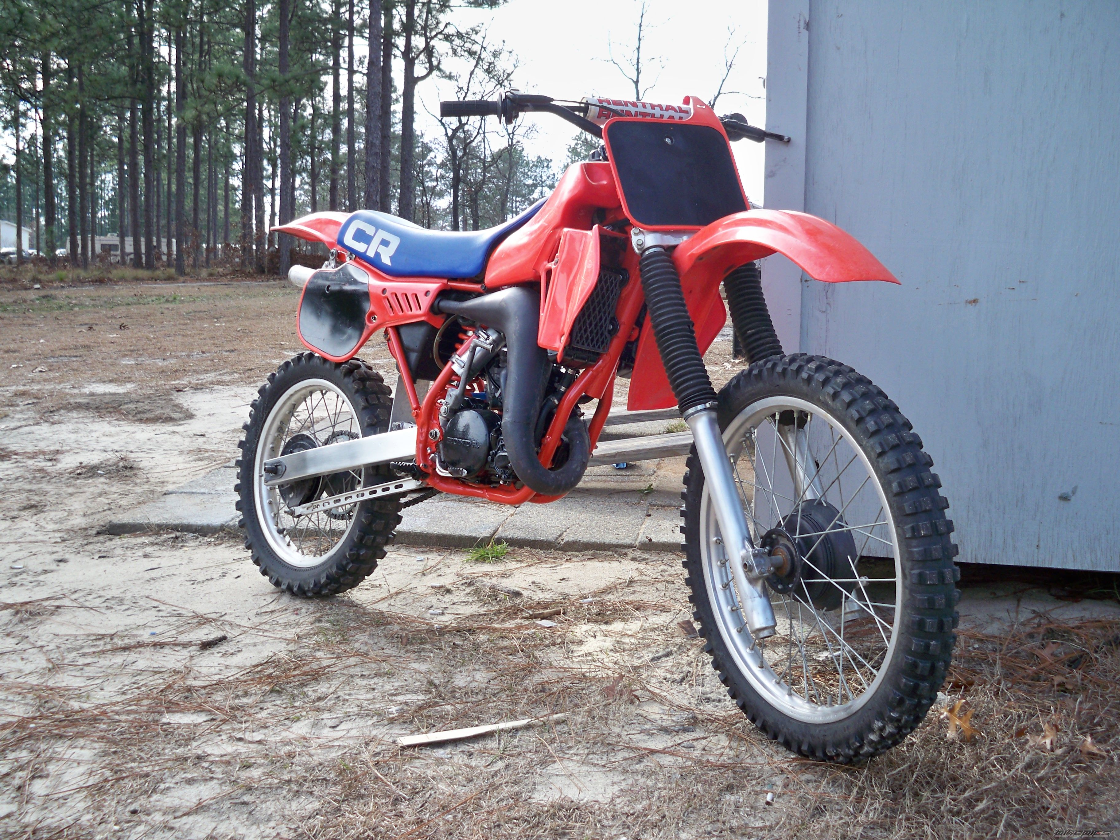 Photo 1541577