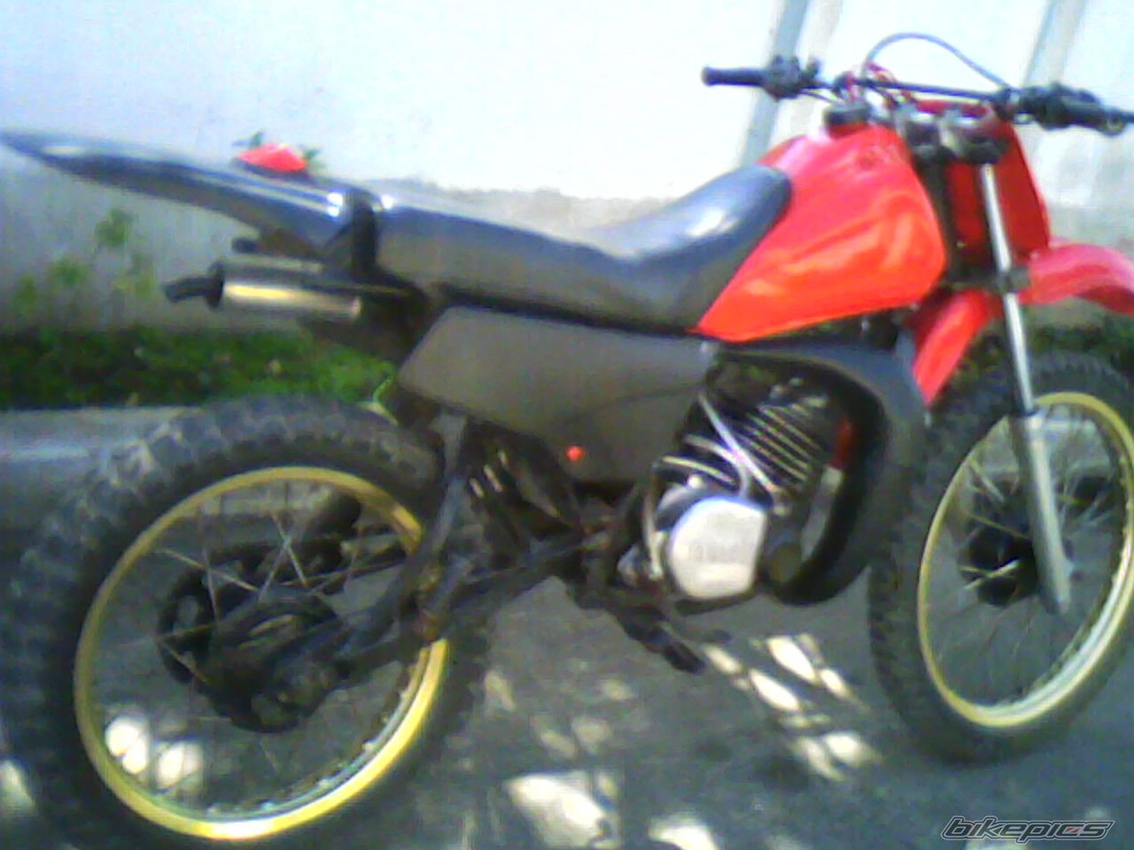 Photo 1541609