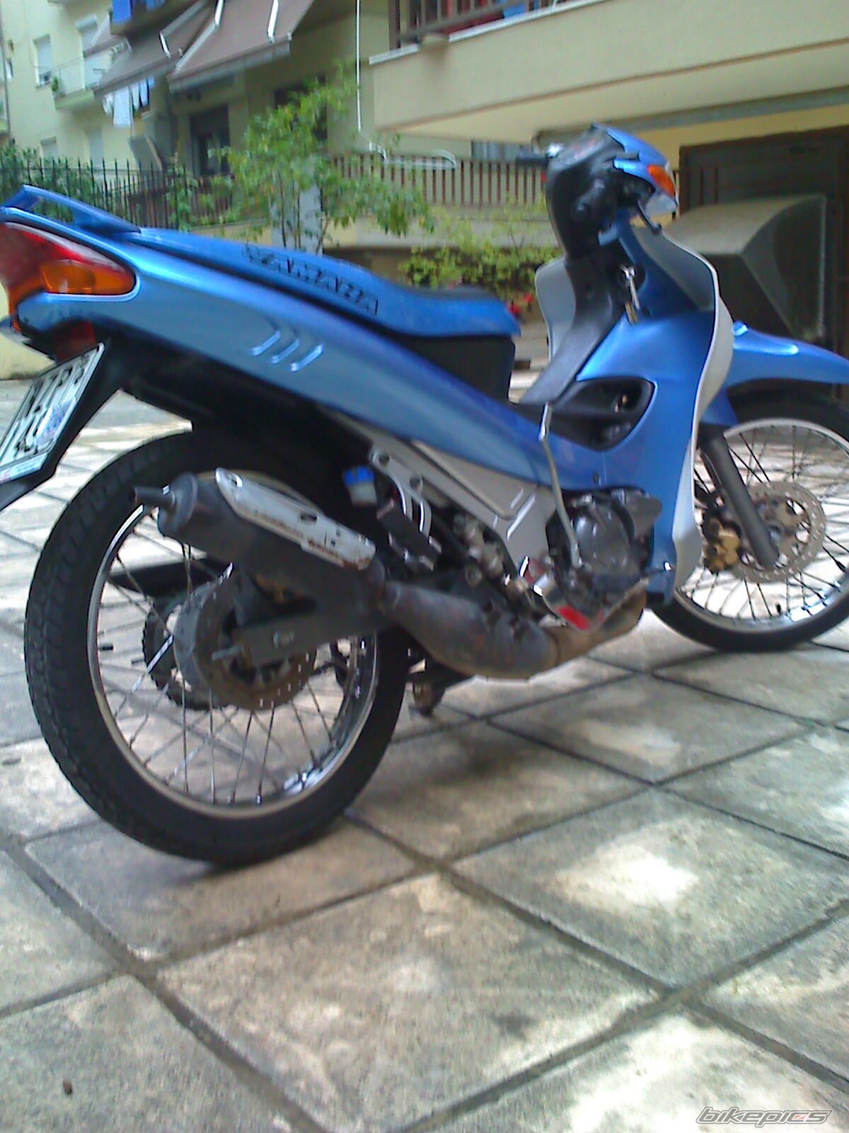 Photo 1541633