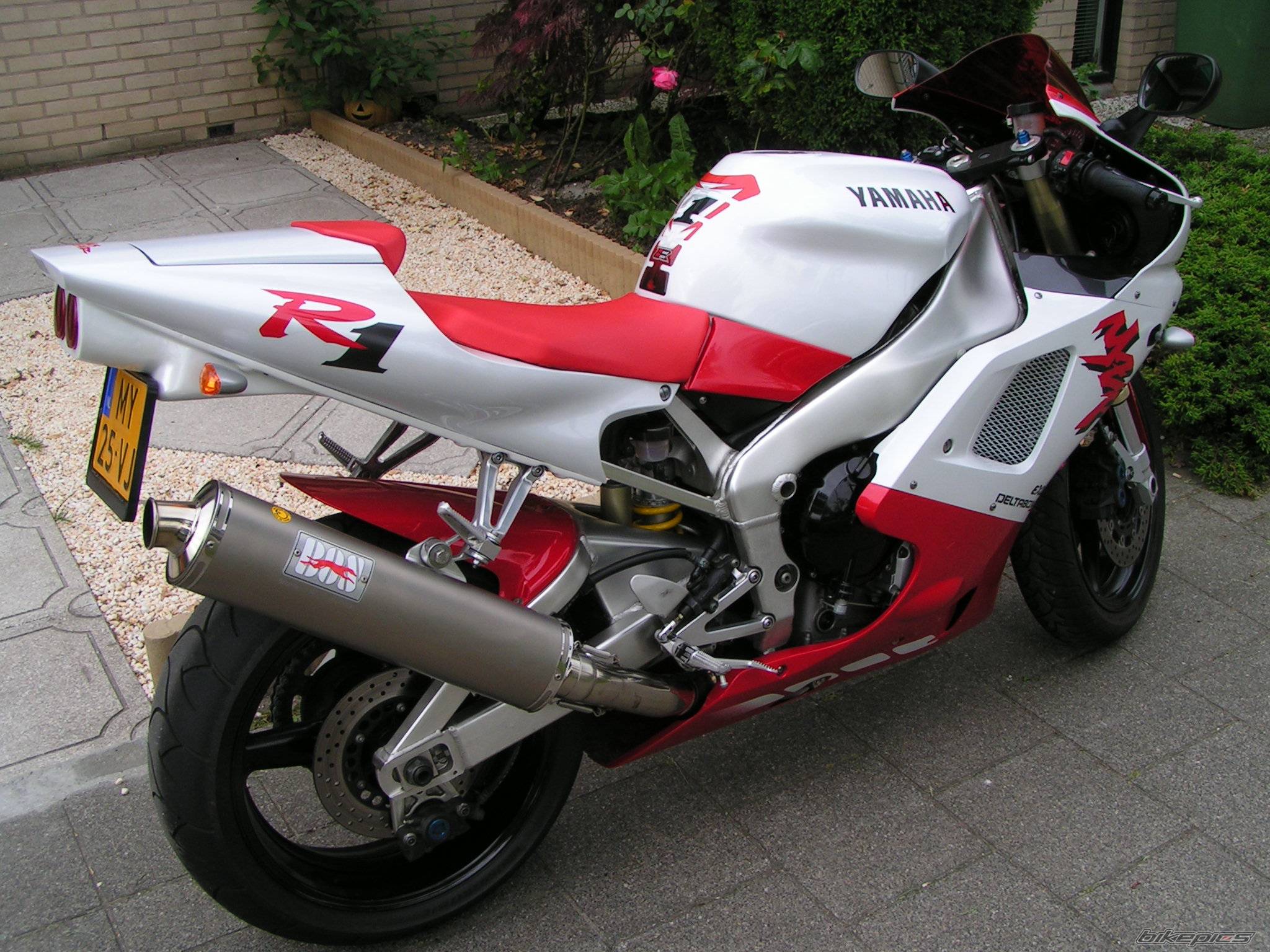Photo 154165