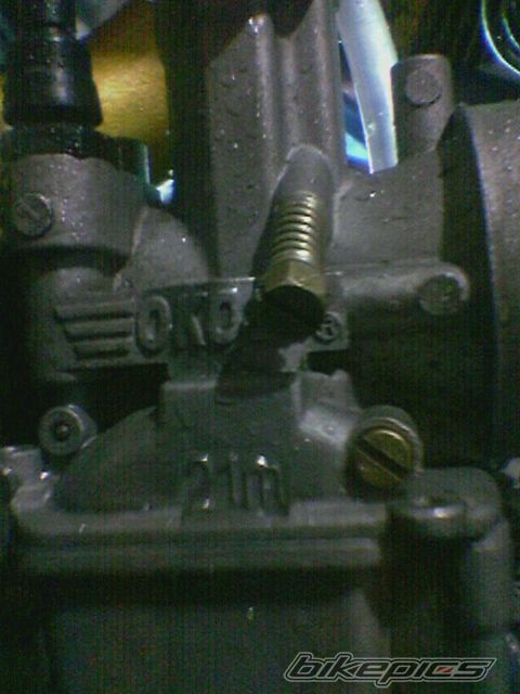 Photo 1541663