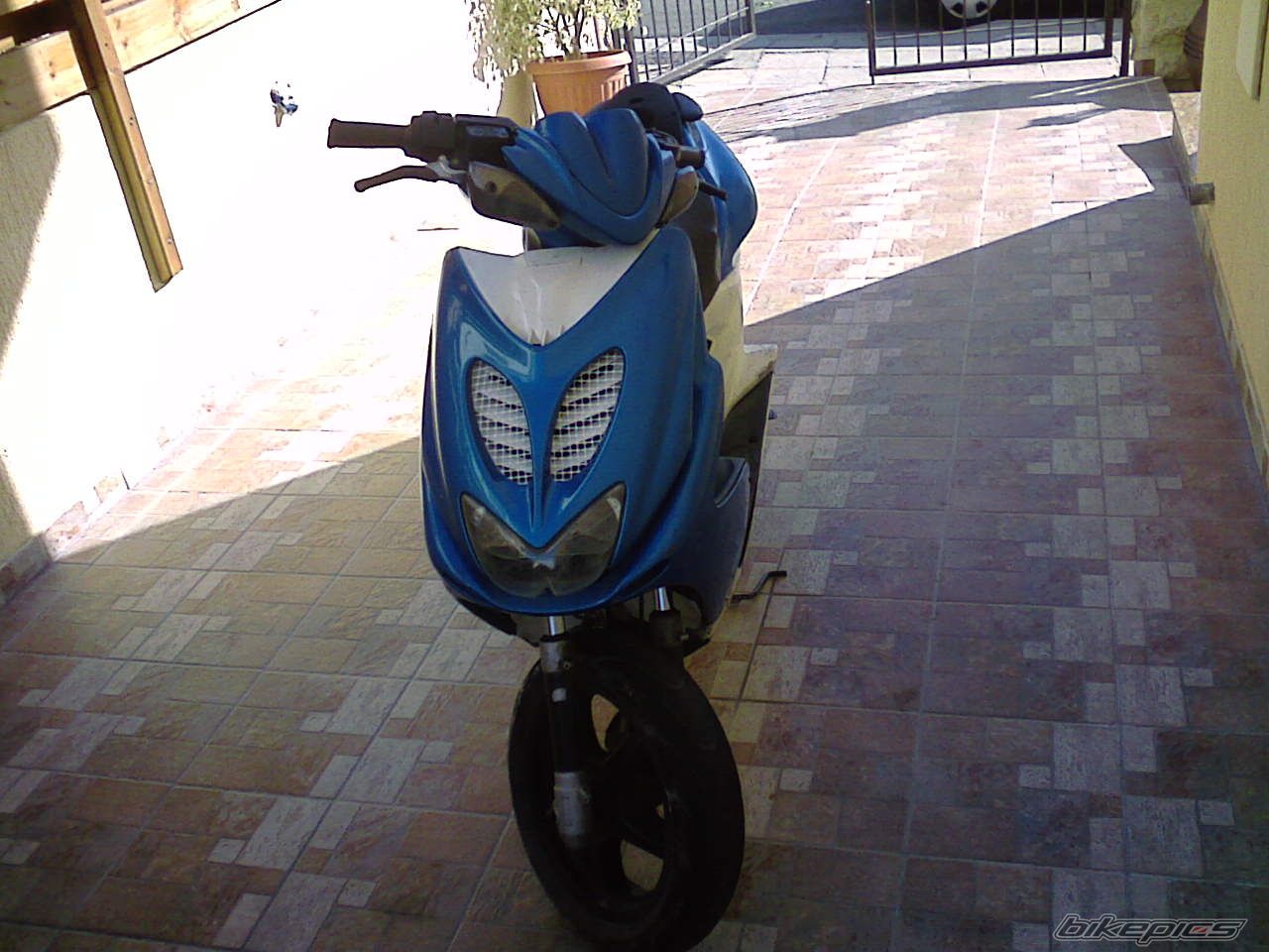 Photo 1541702