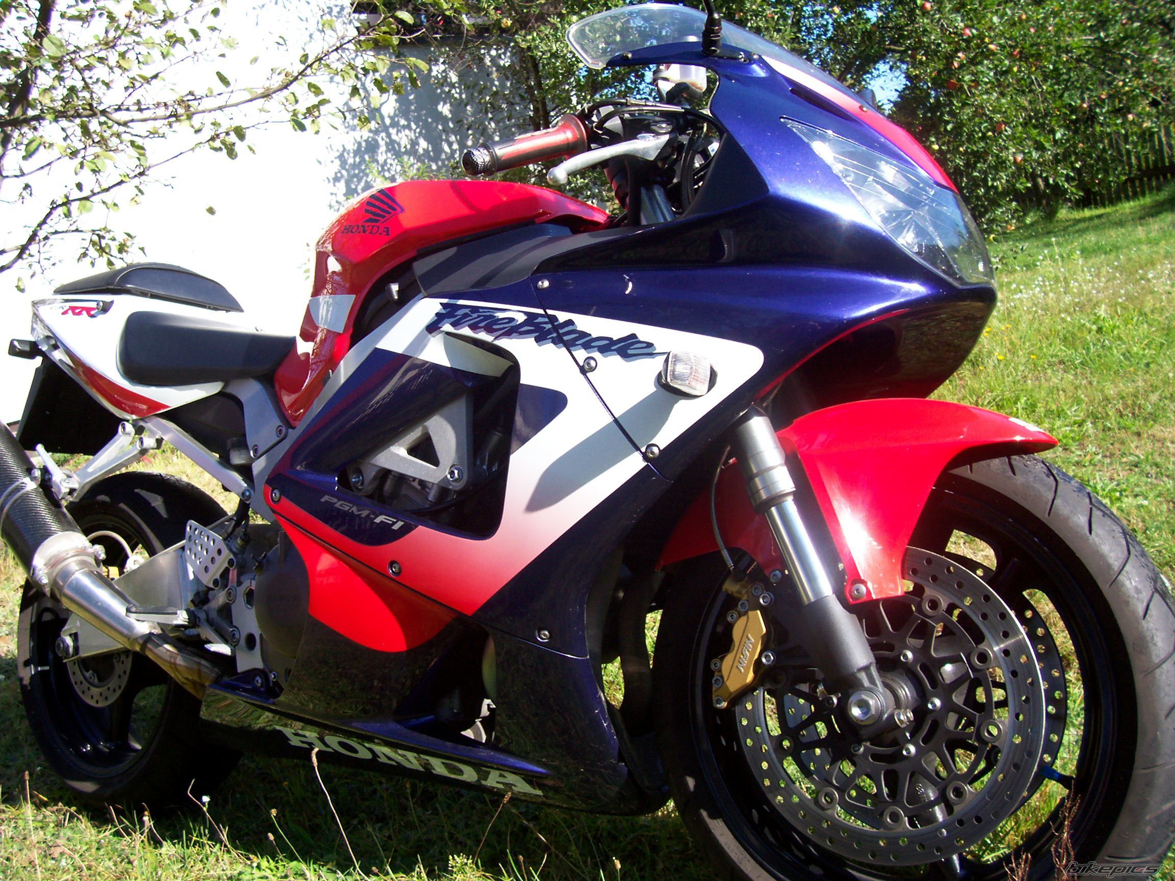 Photo 1541715