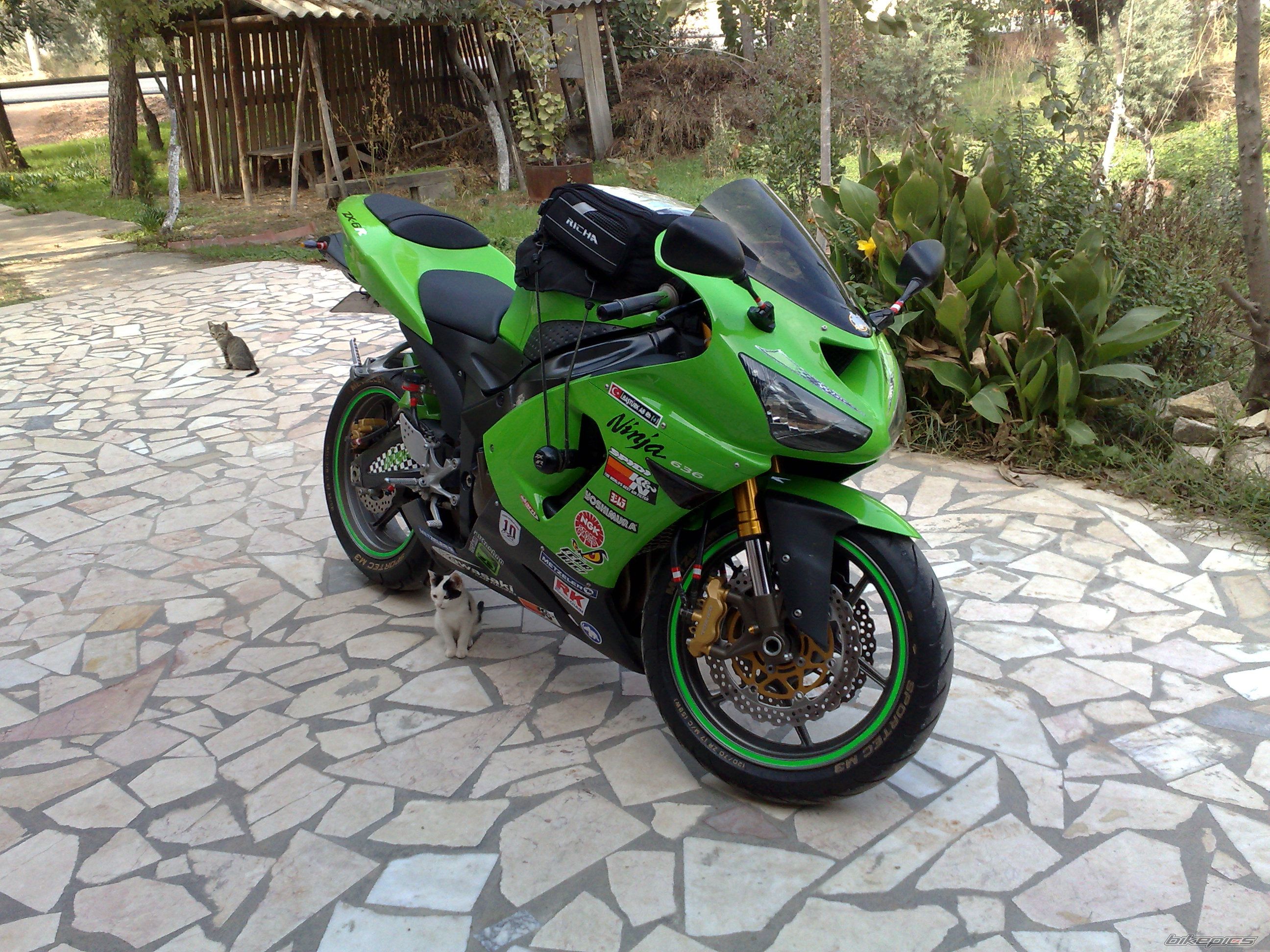 Photo 1541761