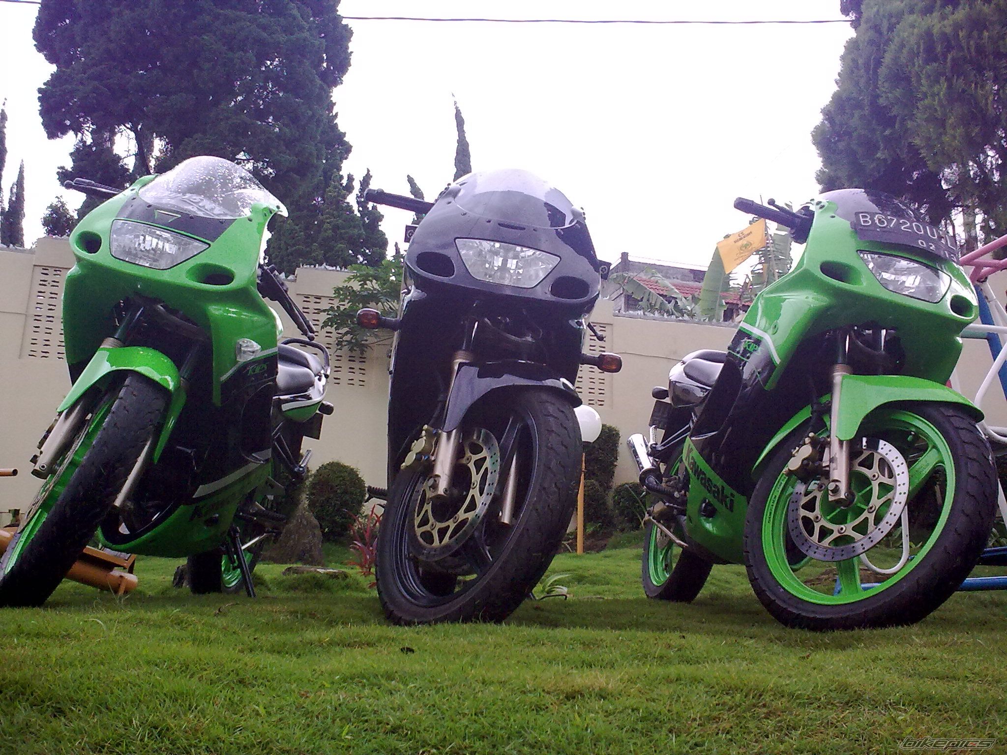 Photo 1541762