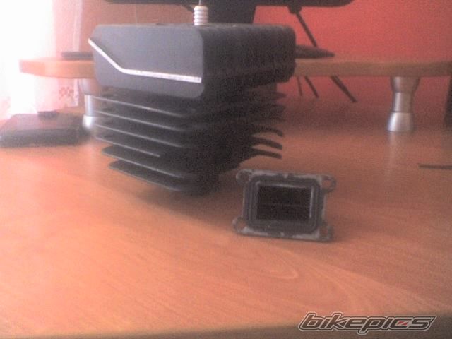 Photo 1541834
