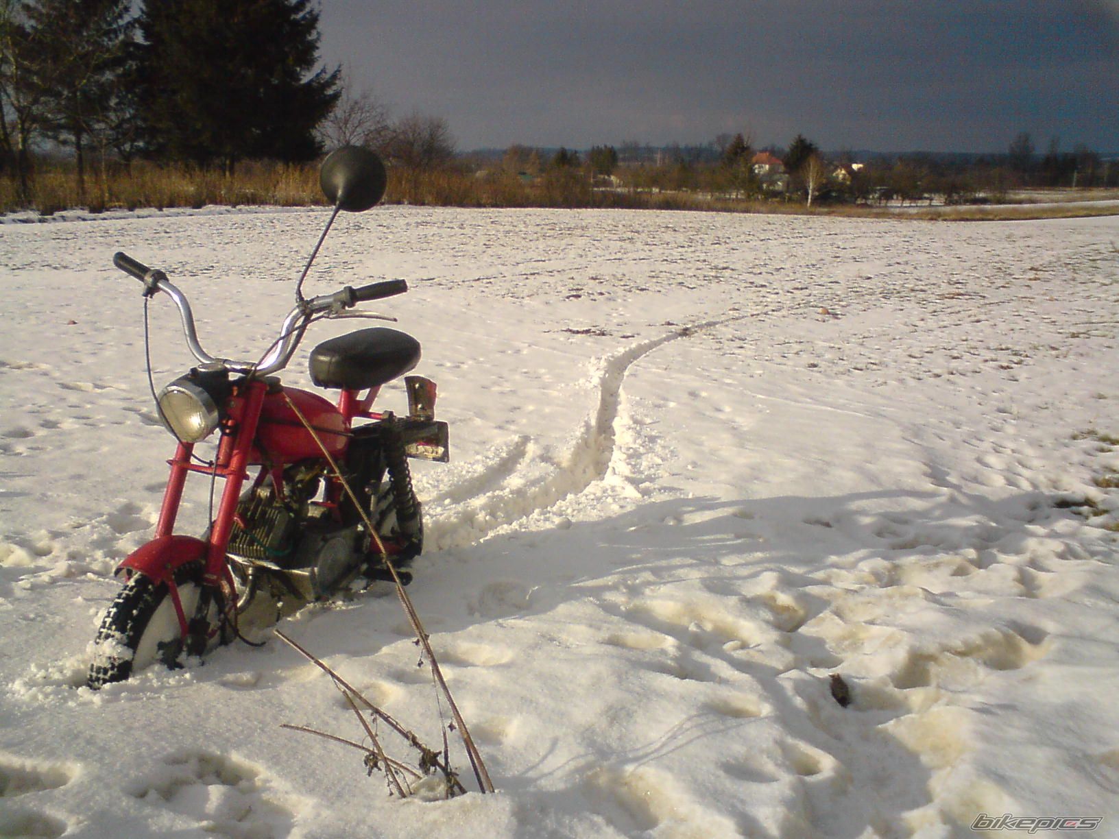 Photo 1541918