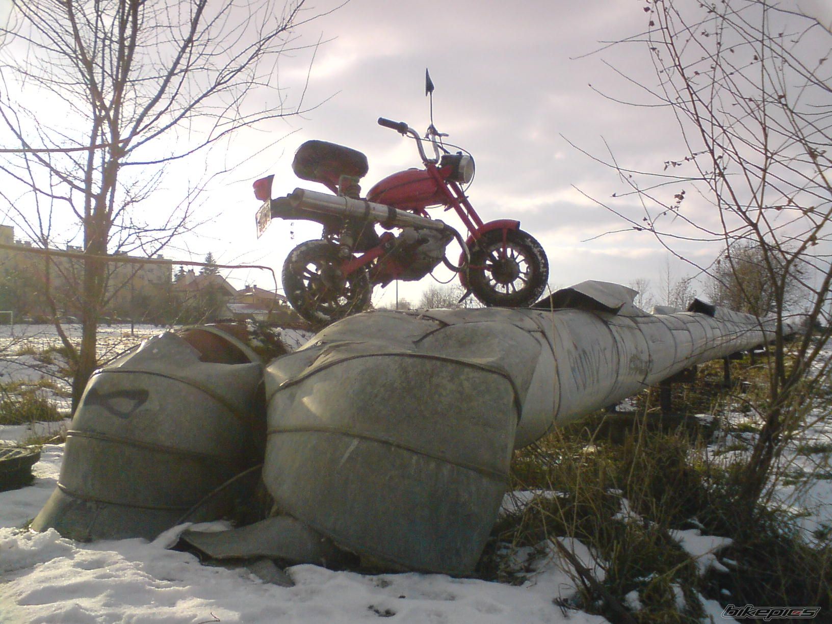 Photo 1541920
