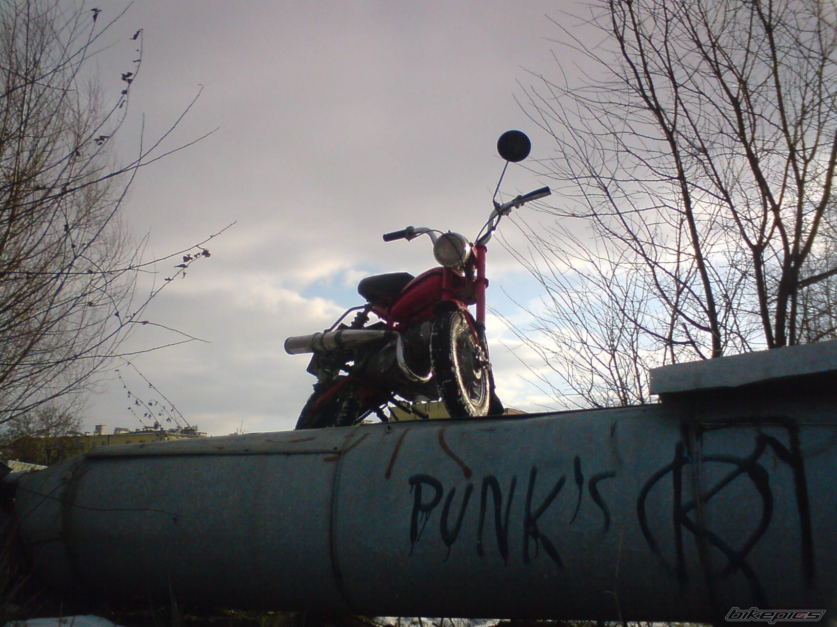 Photo 1541925