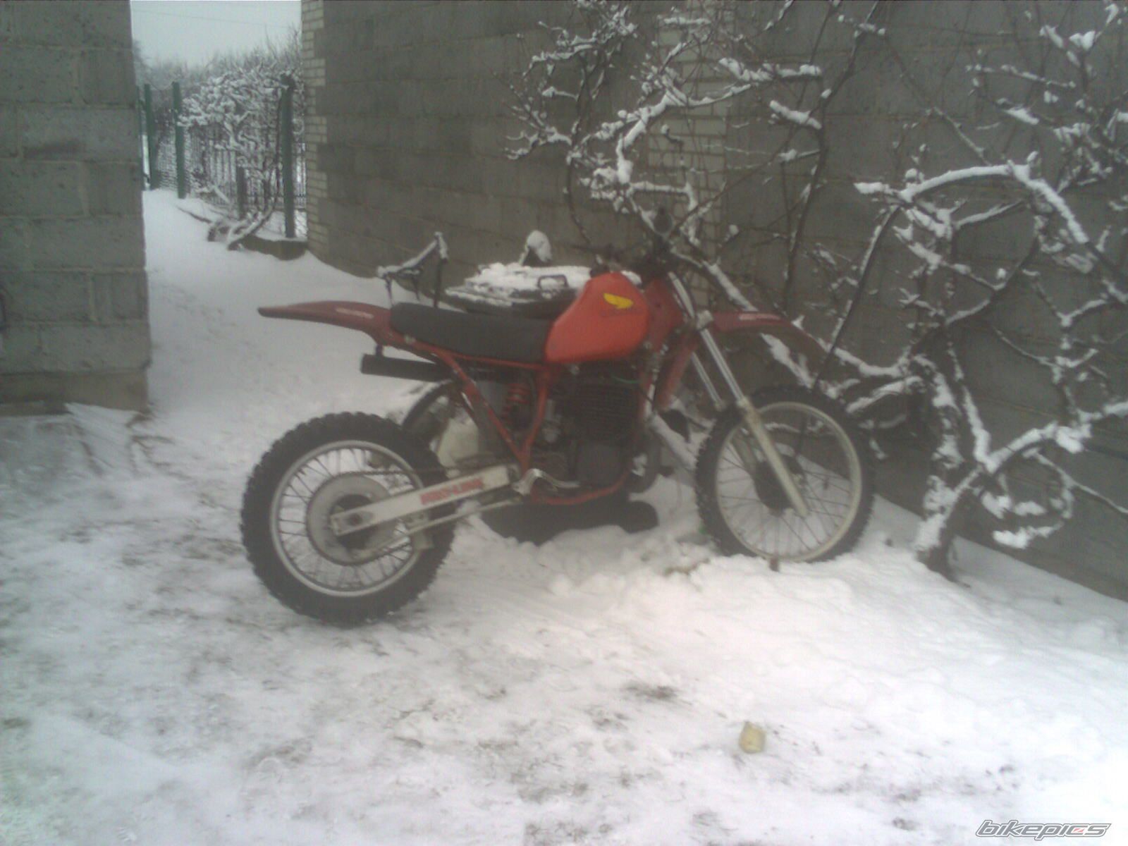 Photo 1541975