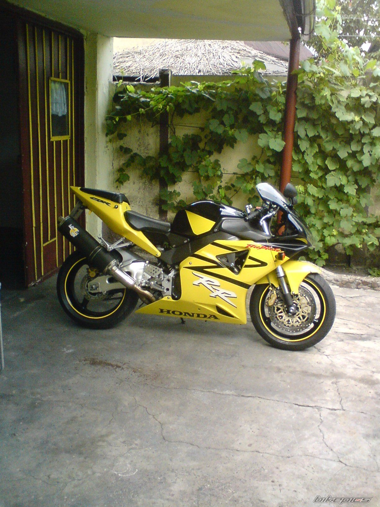 Photo 1541992