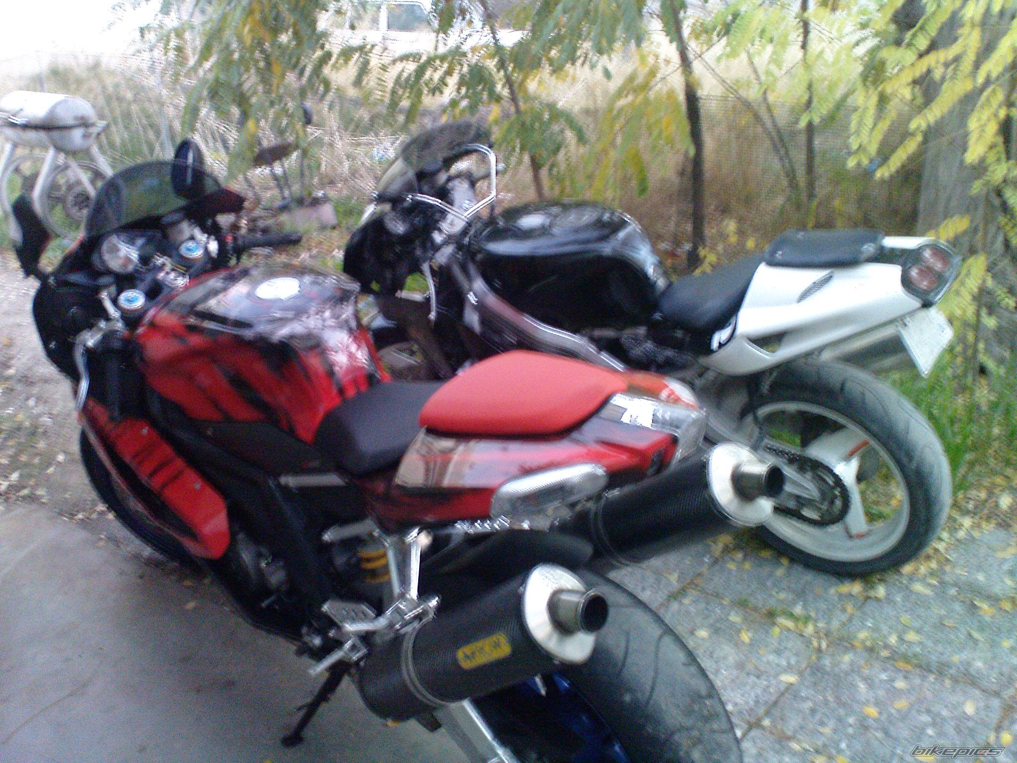 Photo 1542063