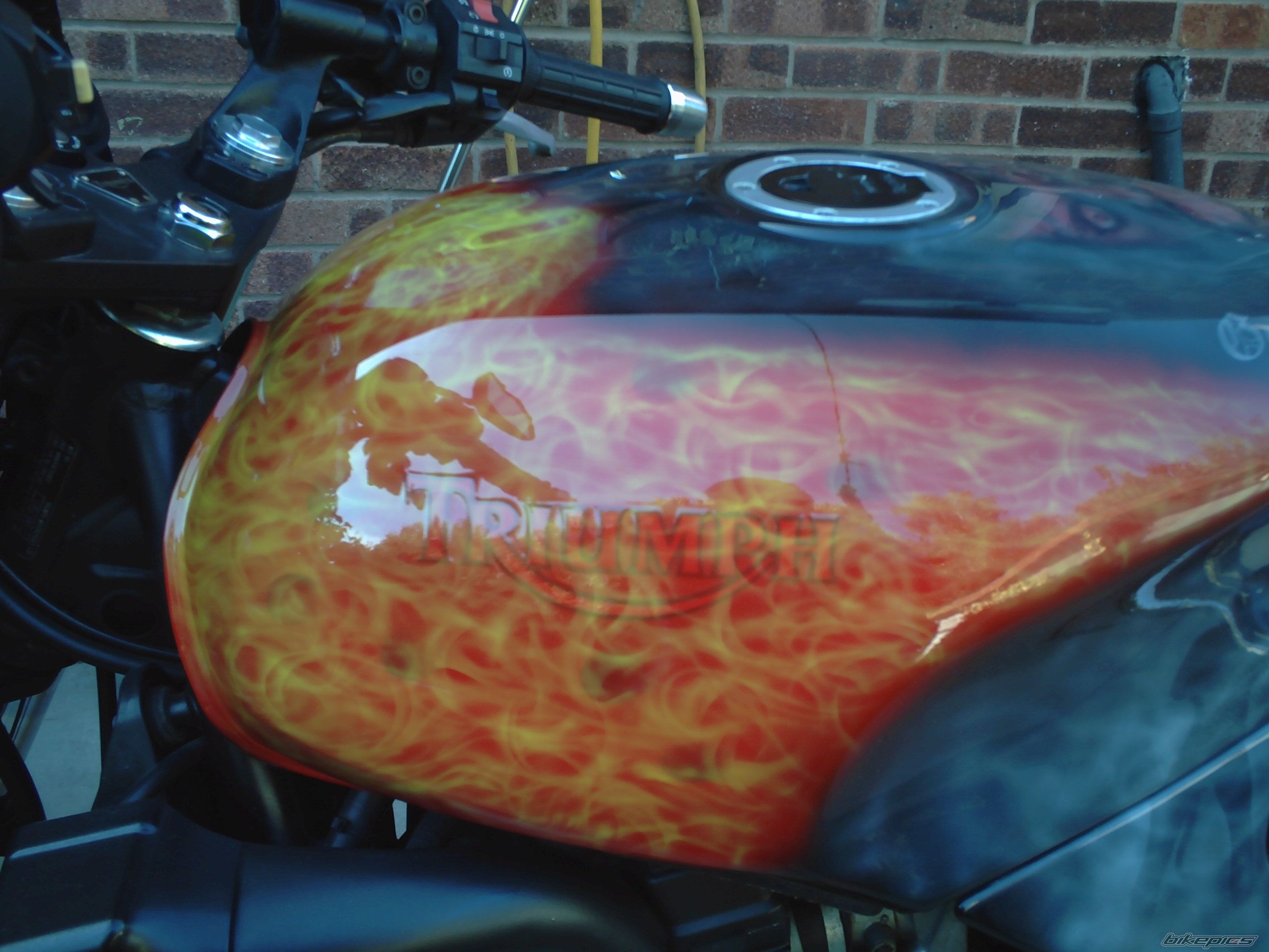 Photo 1542160