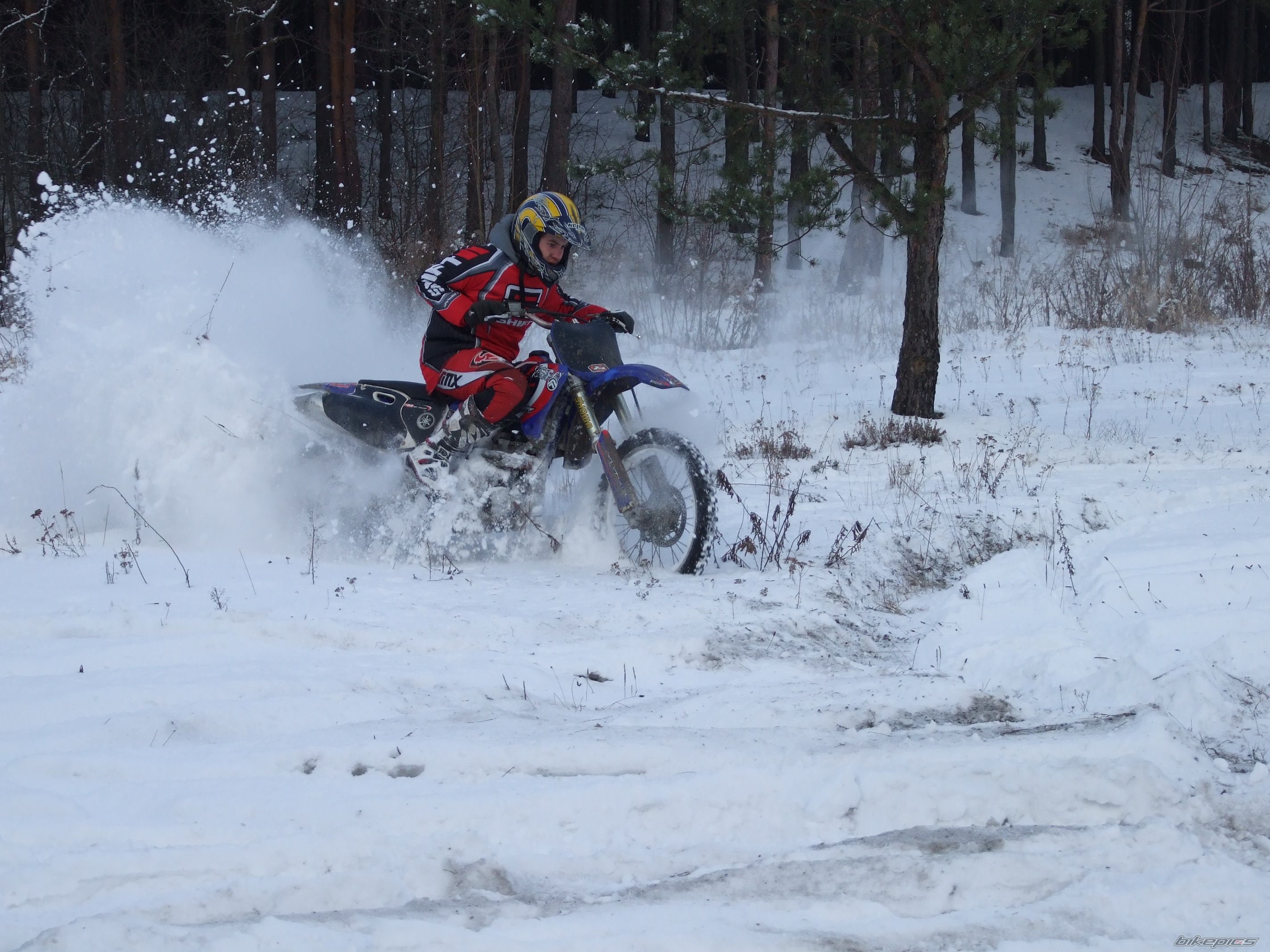 Bike Photo 1542214