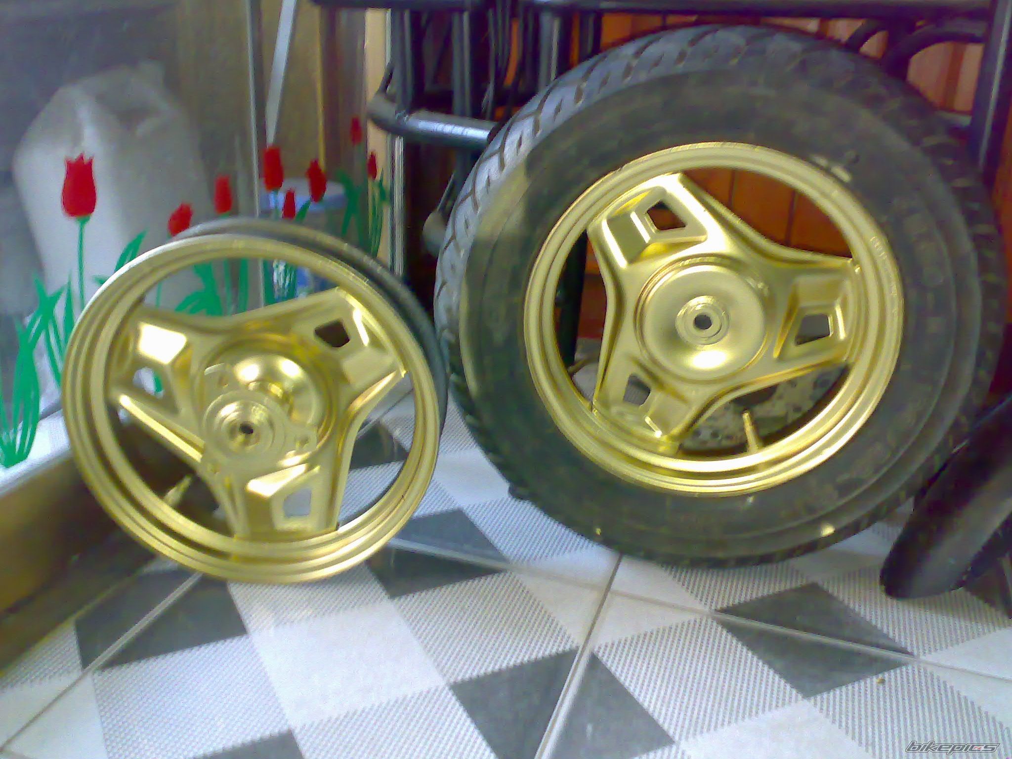 Photo 1542215