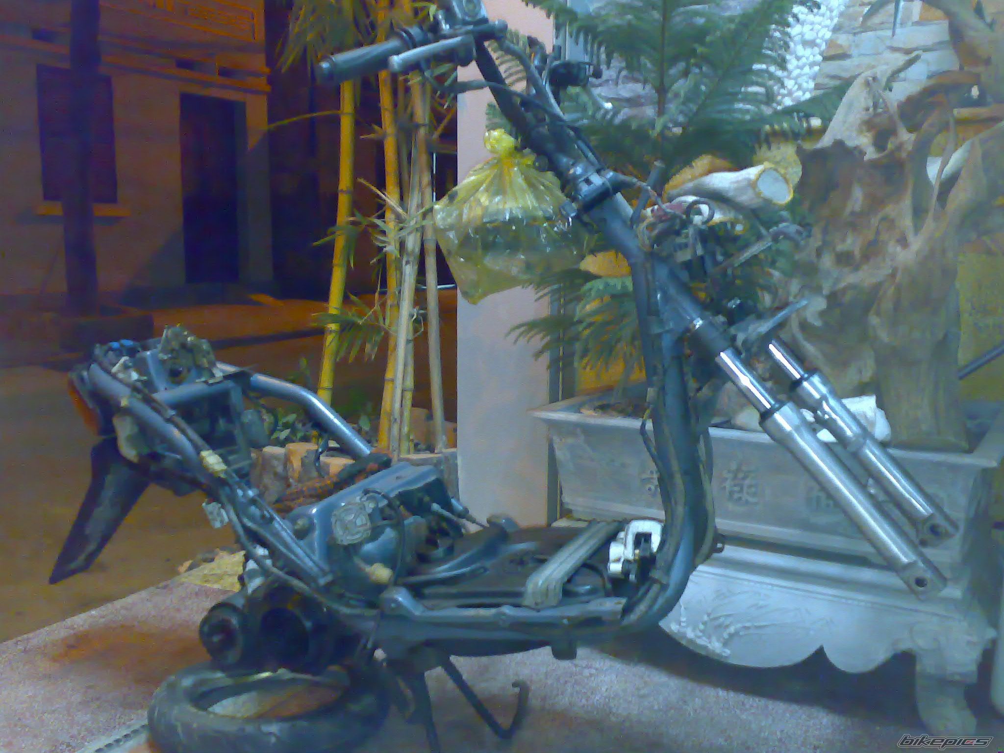 Photo 1542232