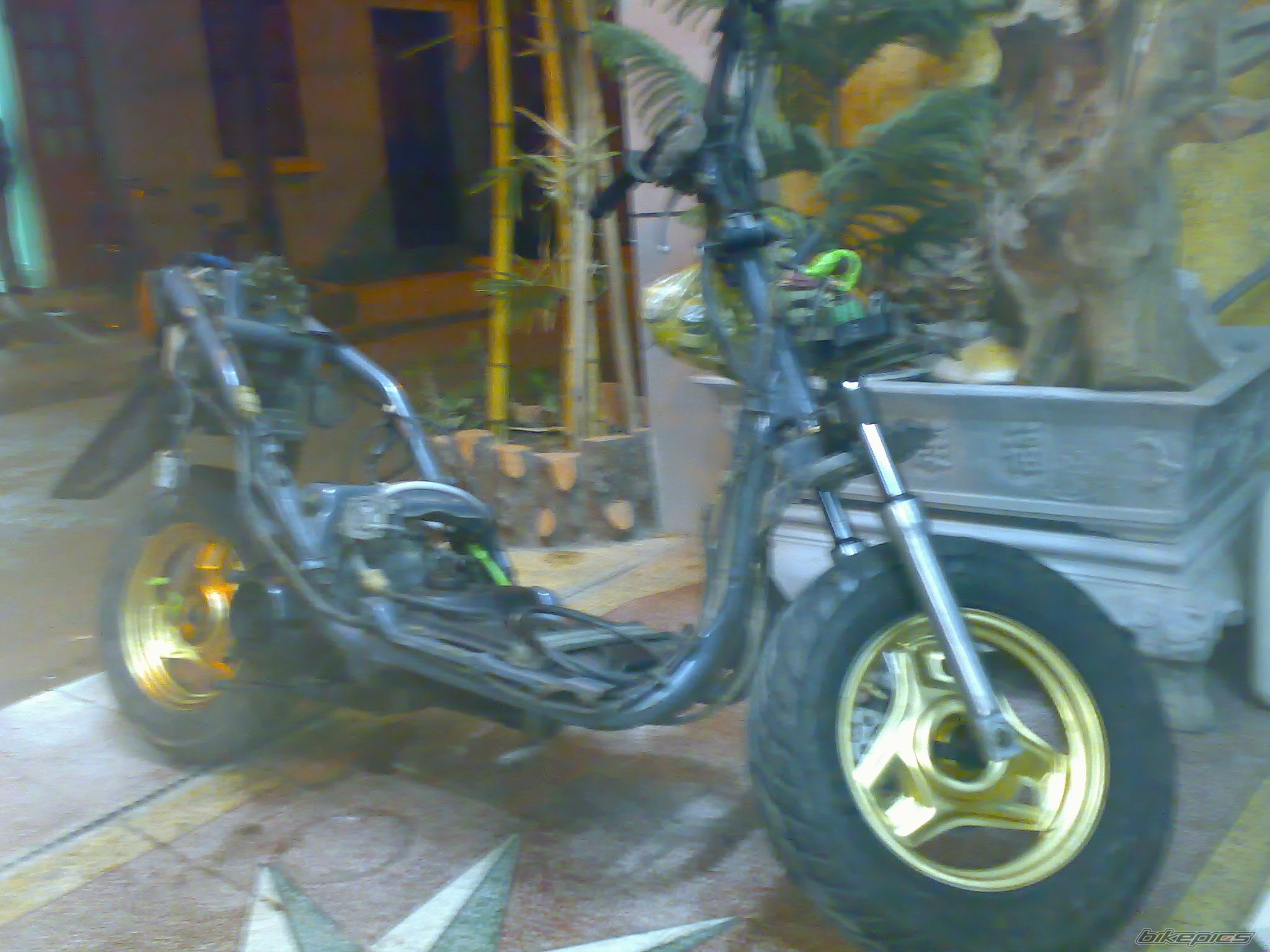 Photo 1542234