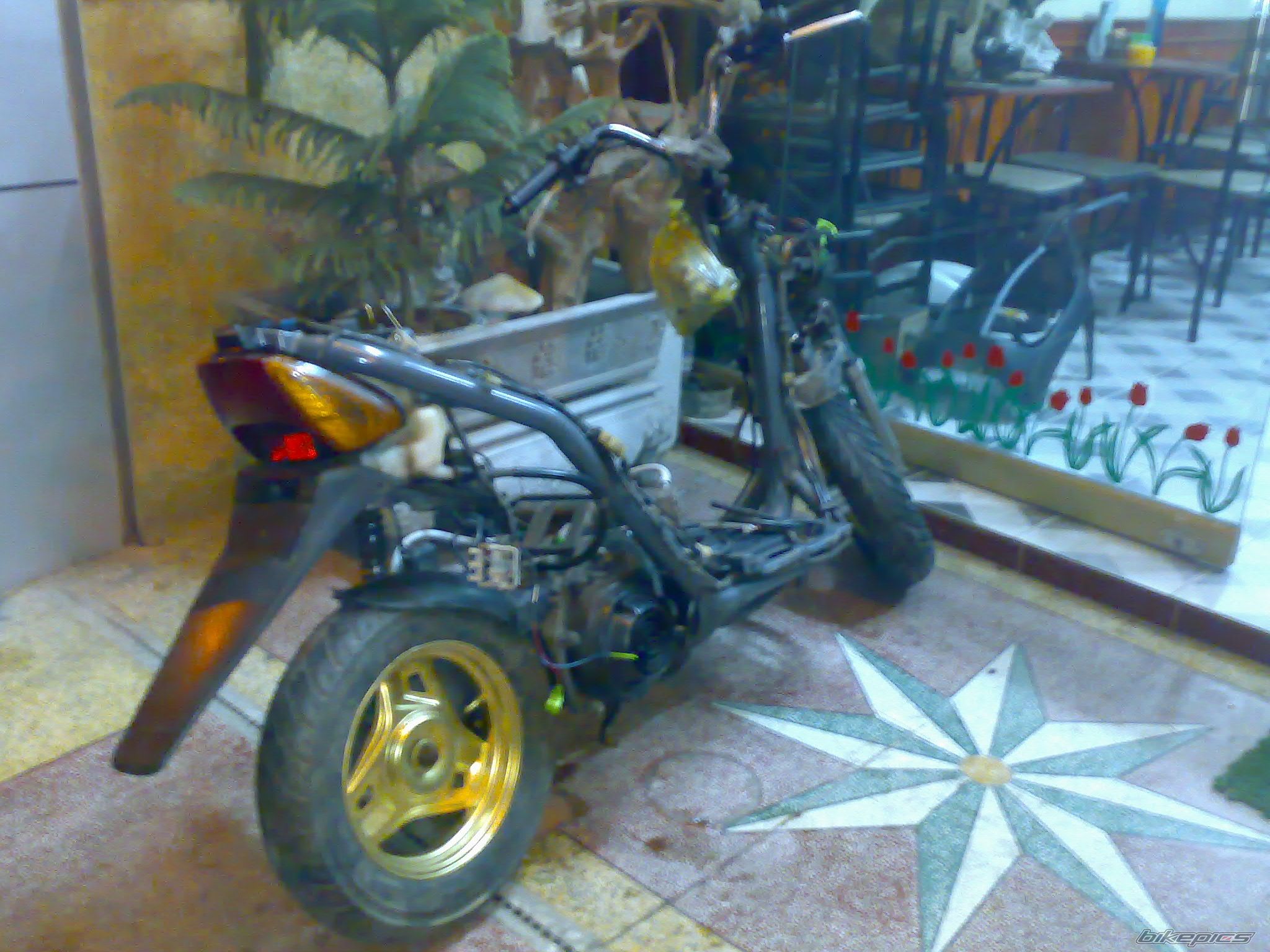 Photo 1542237
