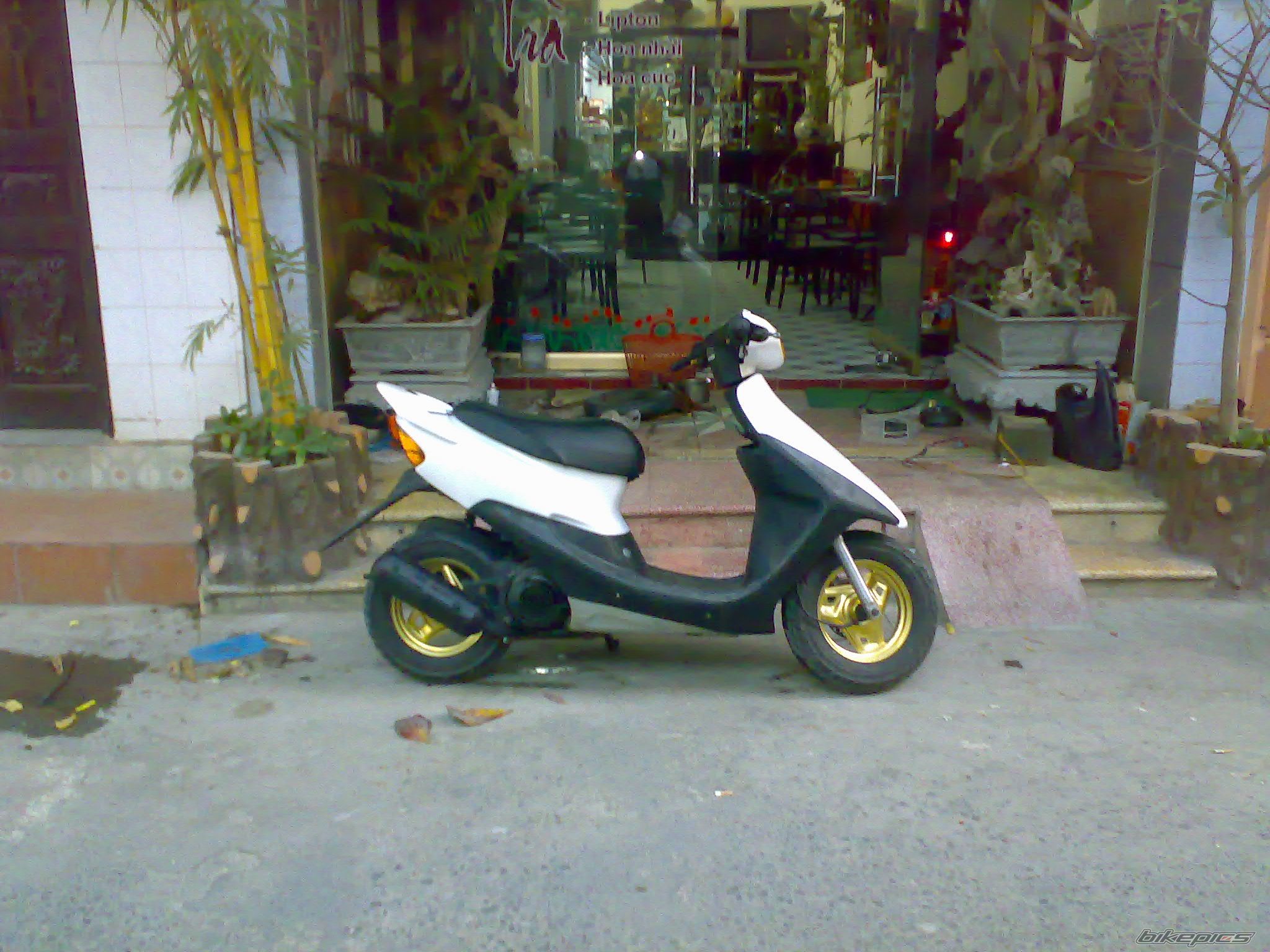 Photo 1542246