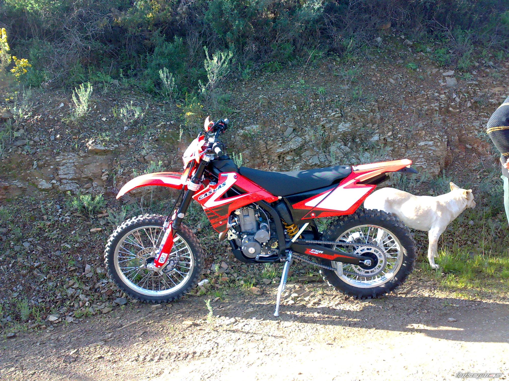Photo 1542250