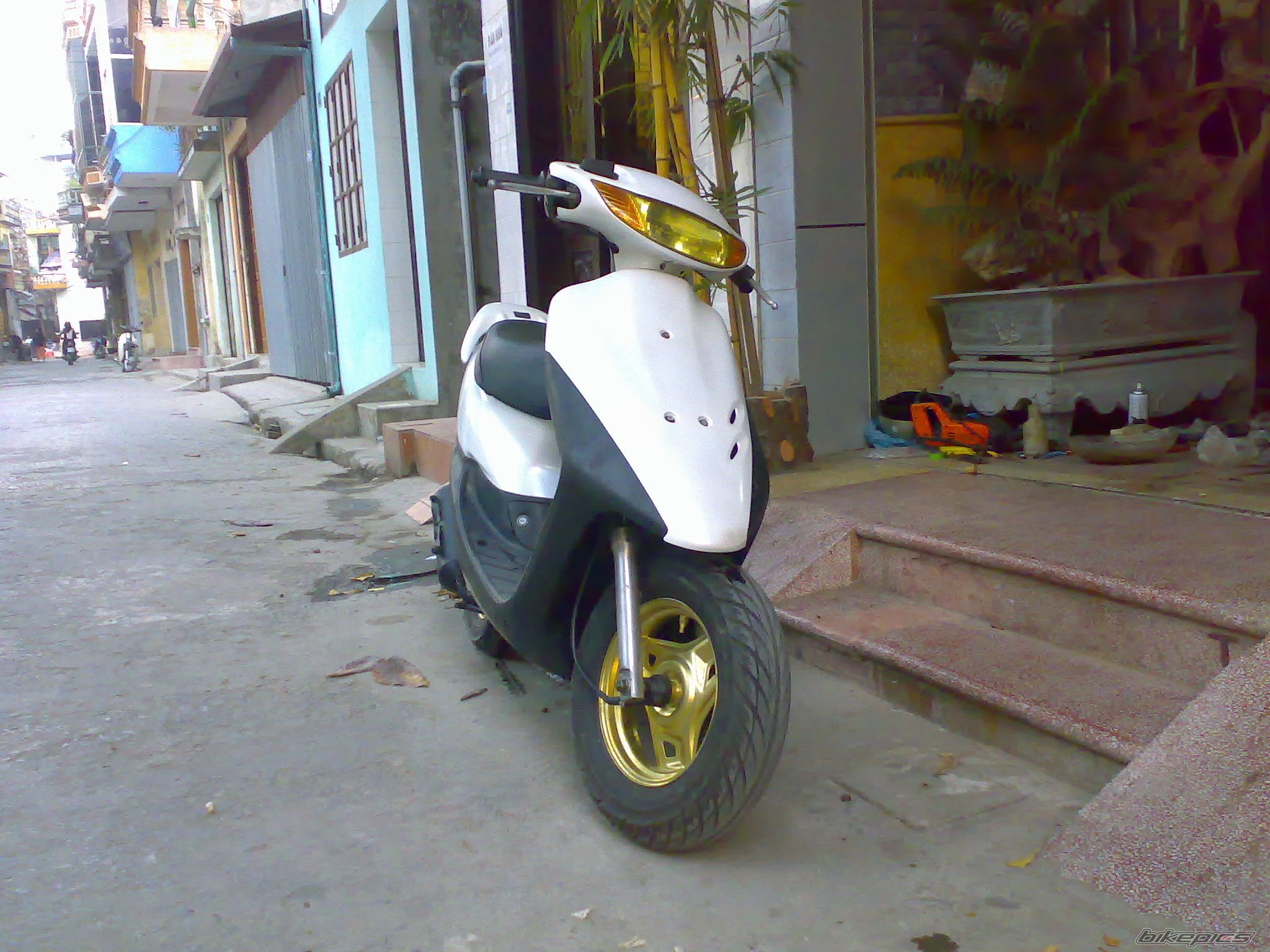 Photo 1542253