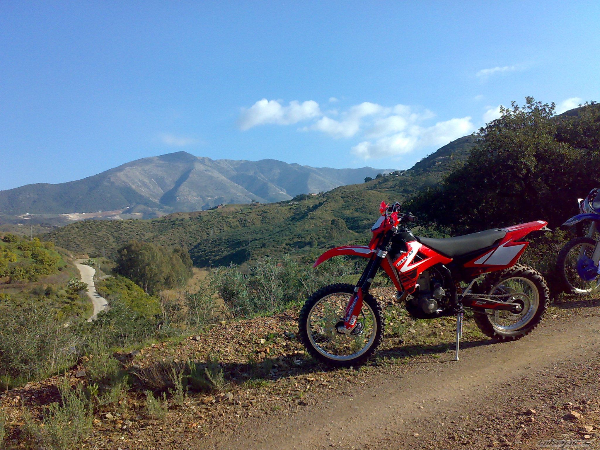 Photo 1542255