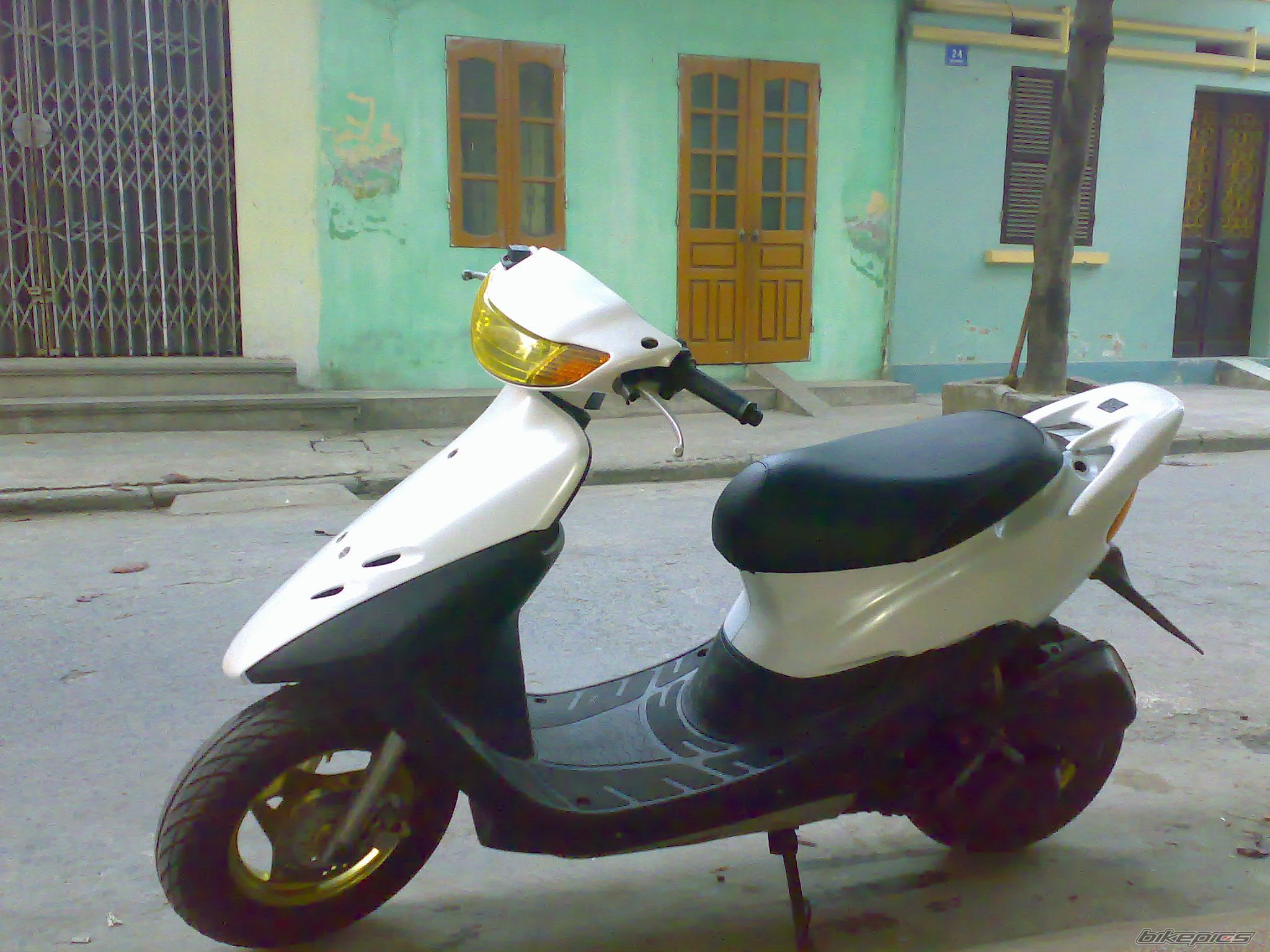 Photo 1542262
