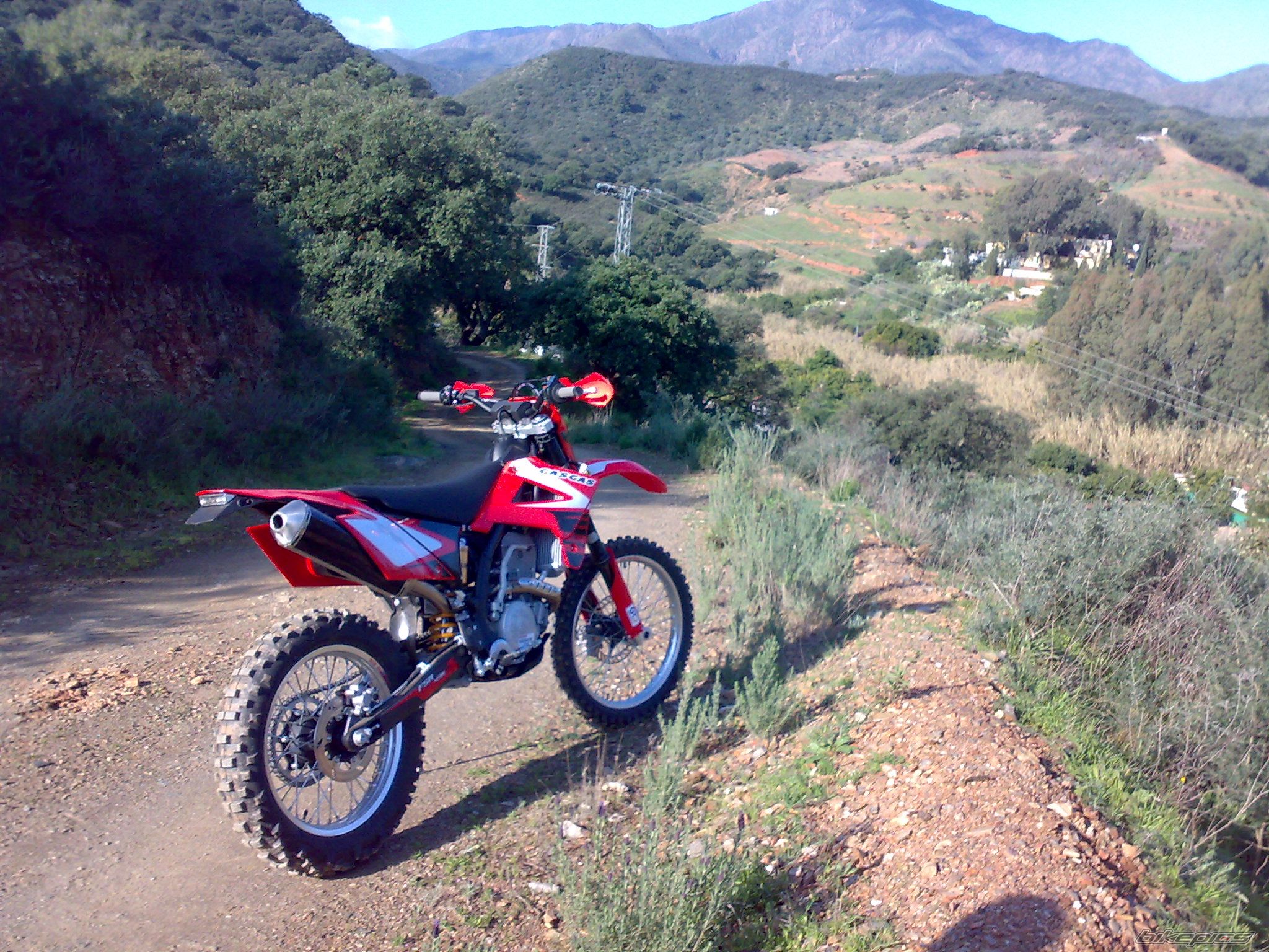 Photo 1542264