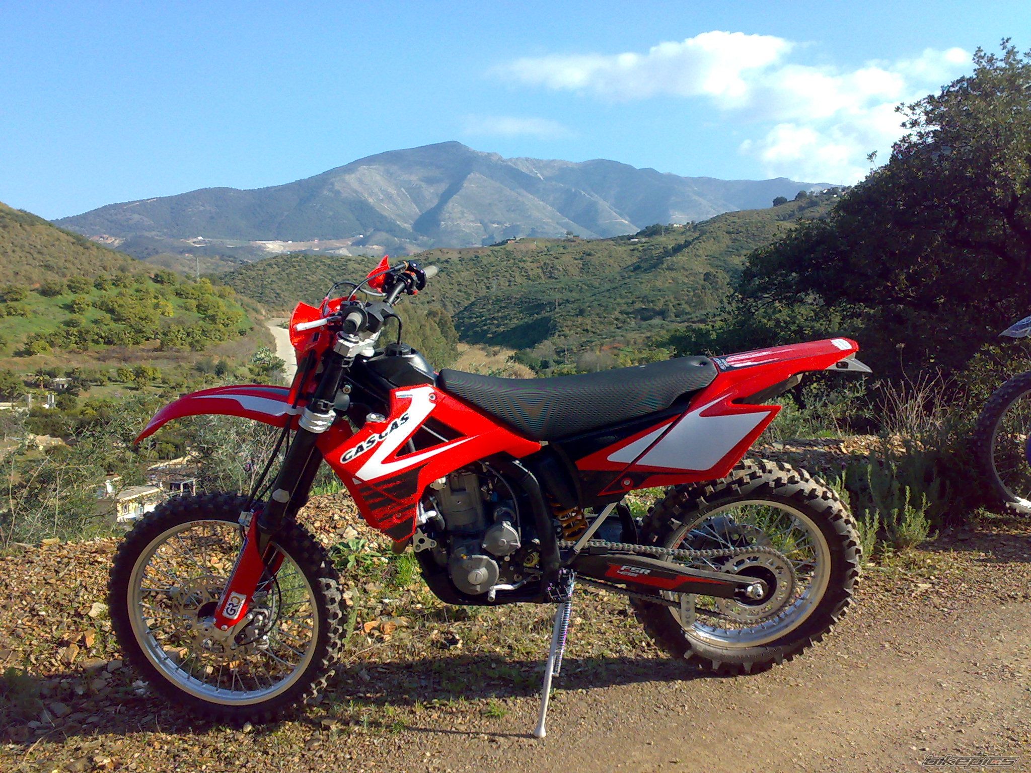 Photo 1542265