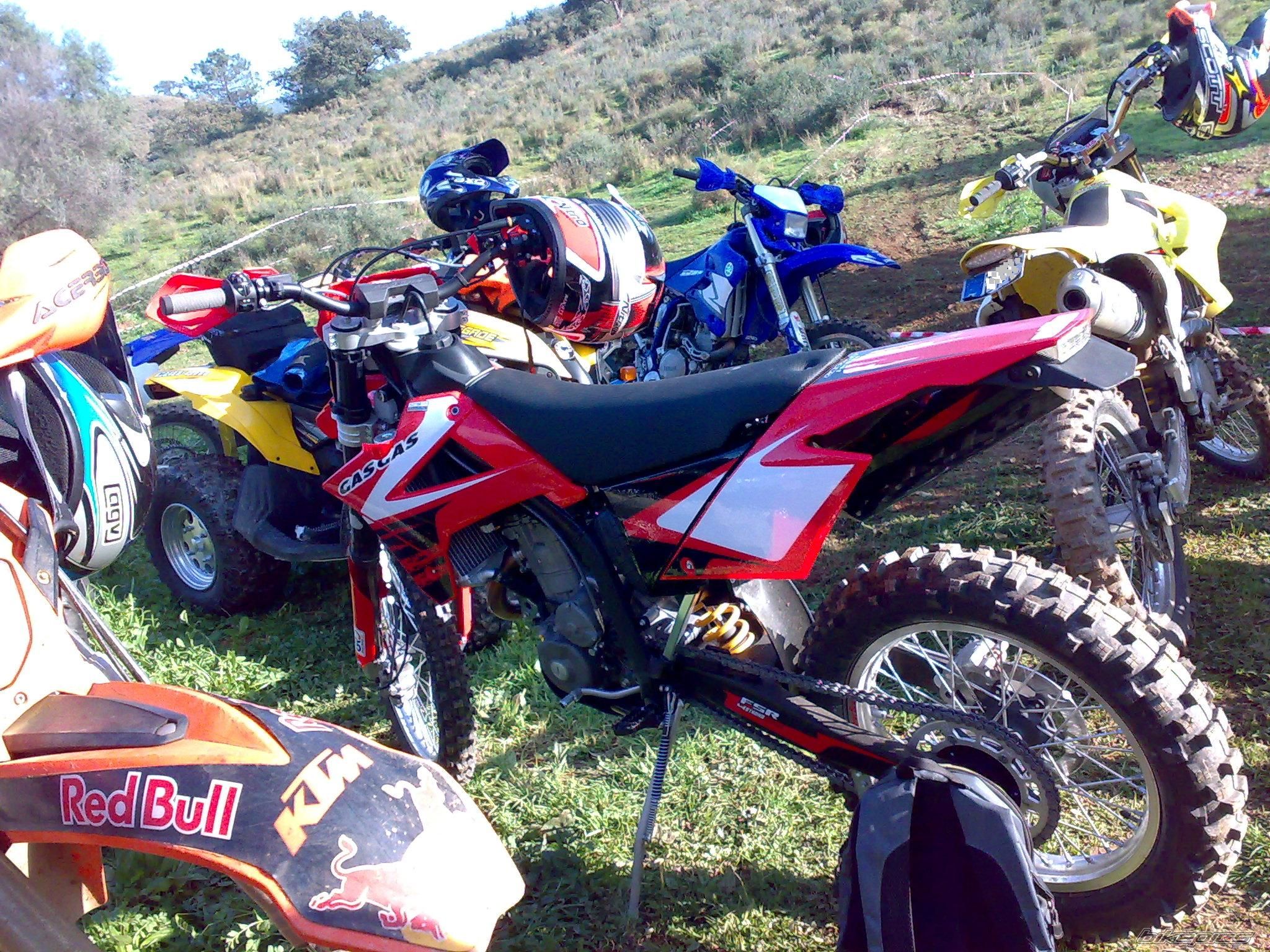 Photo 1542270