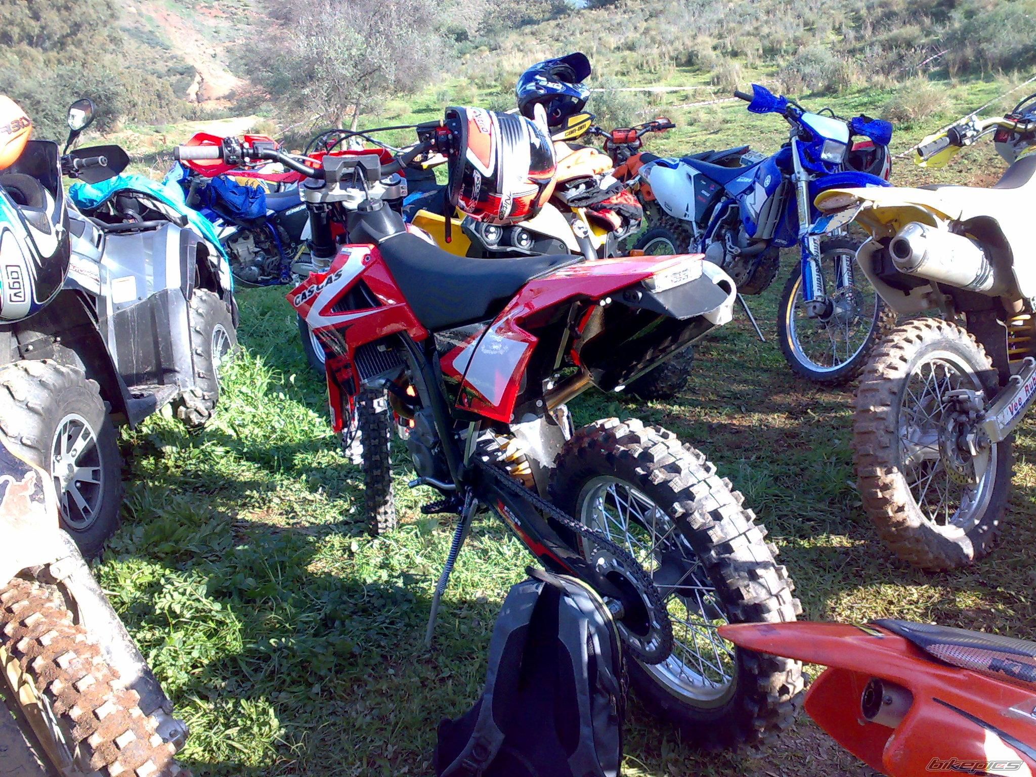 Photo 1542274