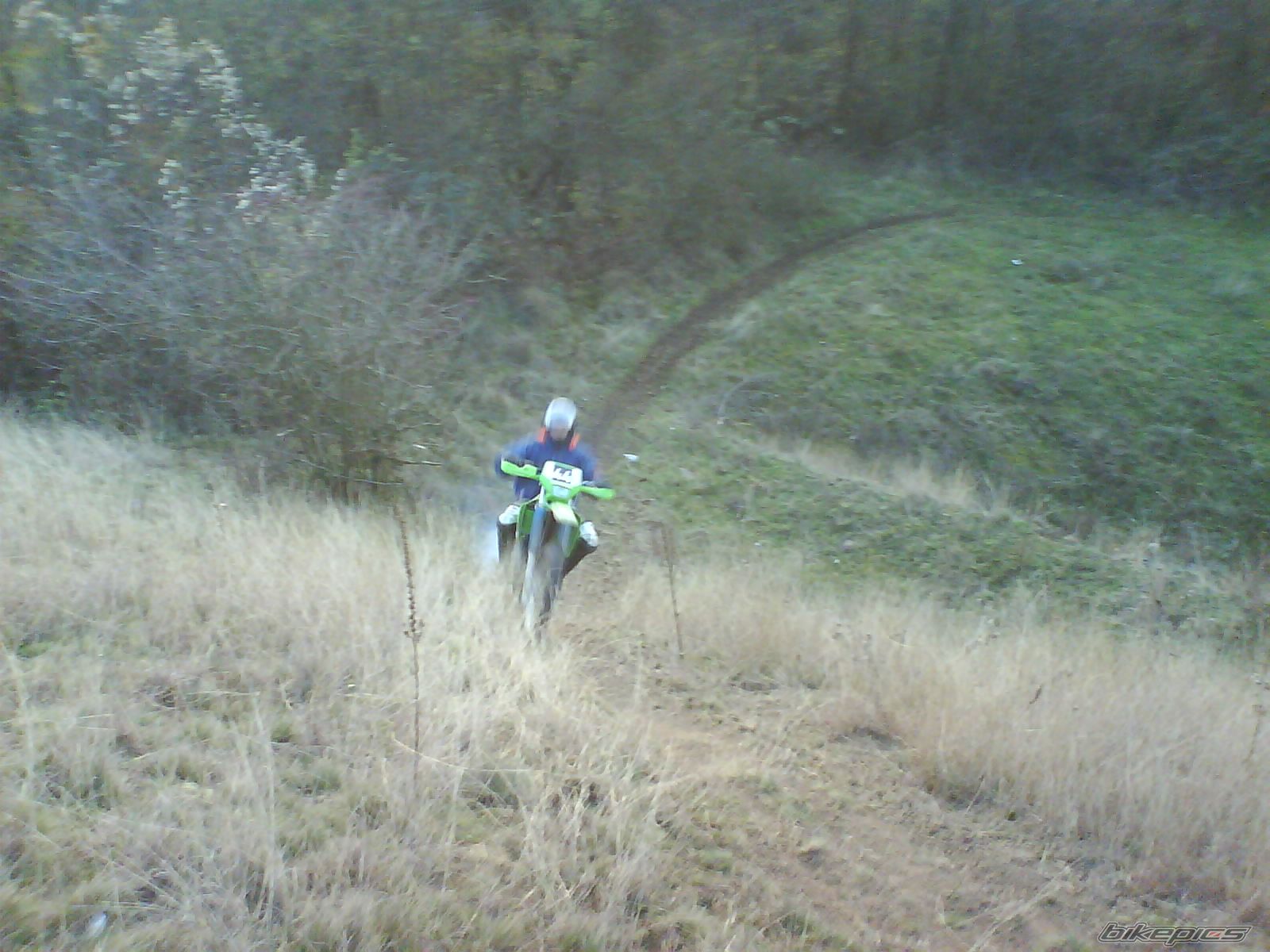 Photo 1542299