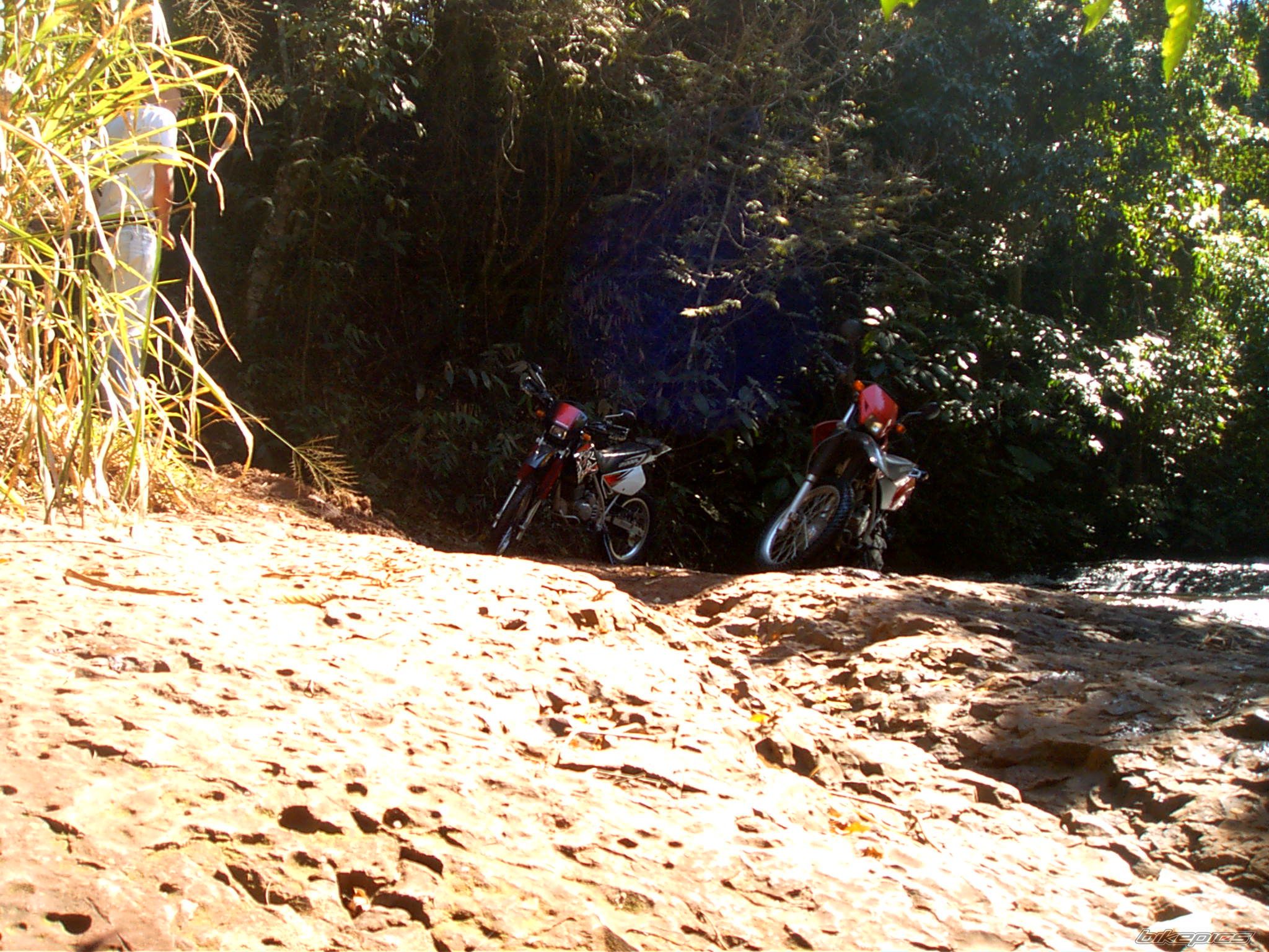 Photo 1542321