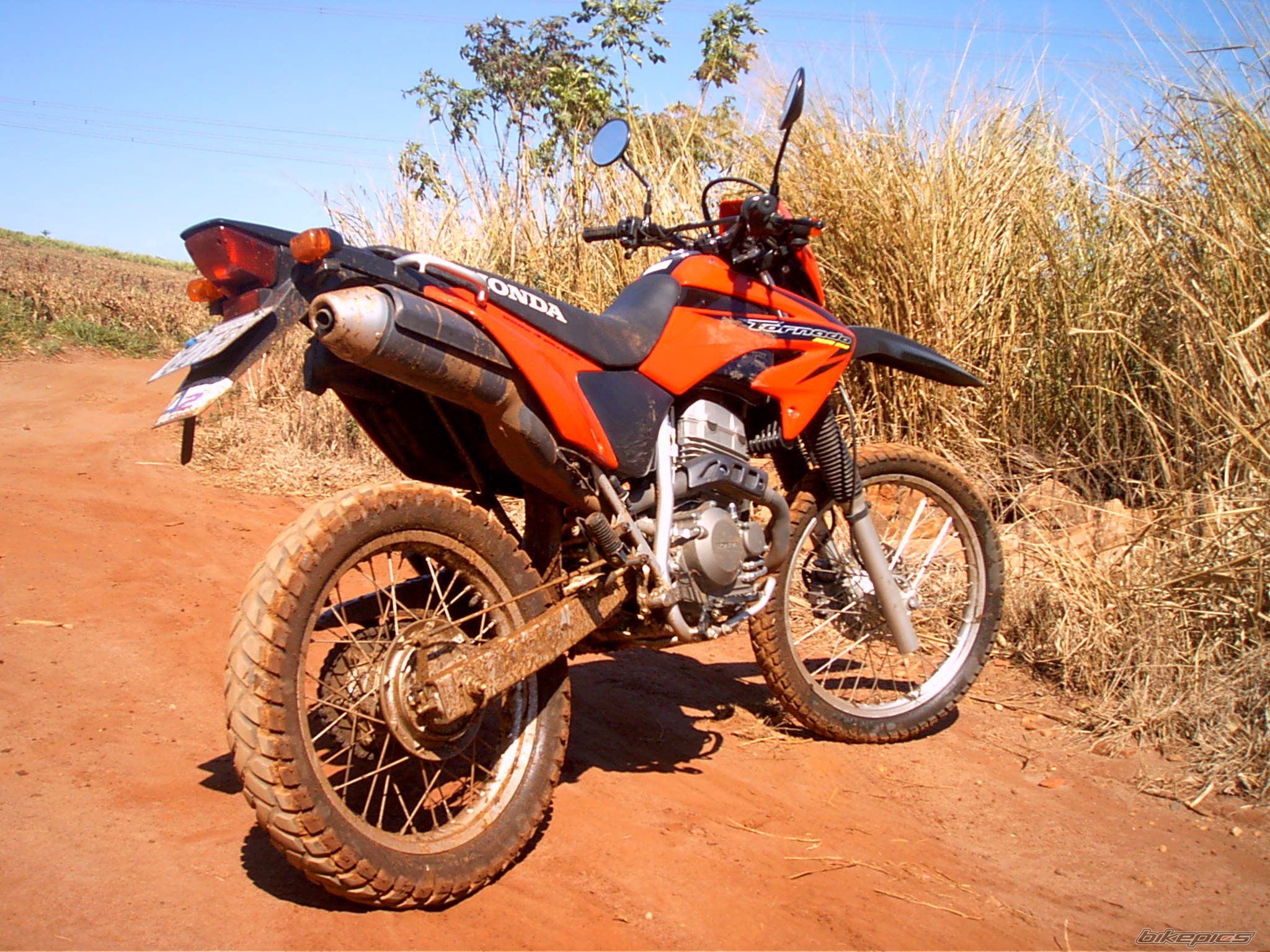Photo 1542323