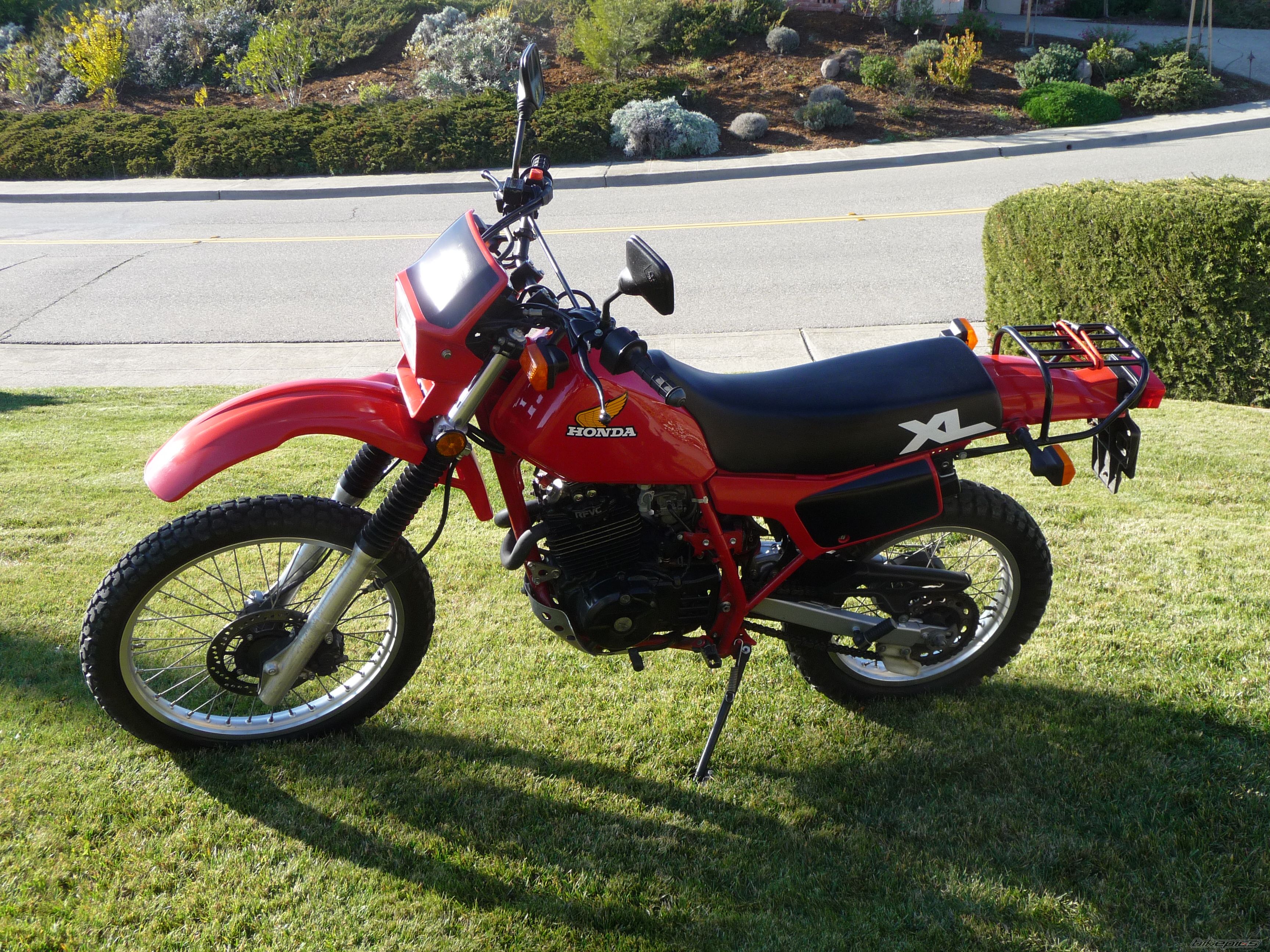 Photo 1542325
