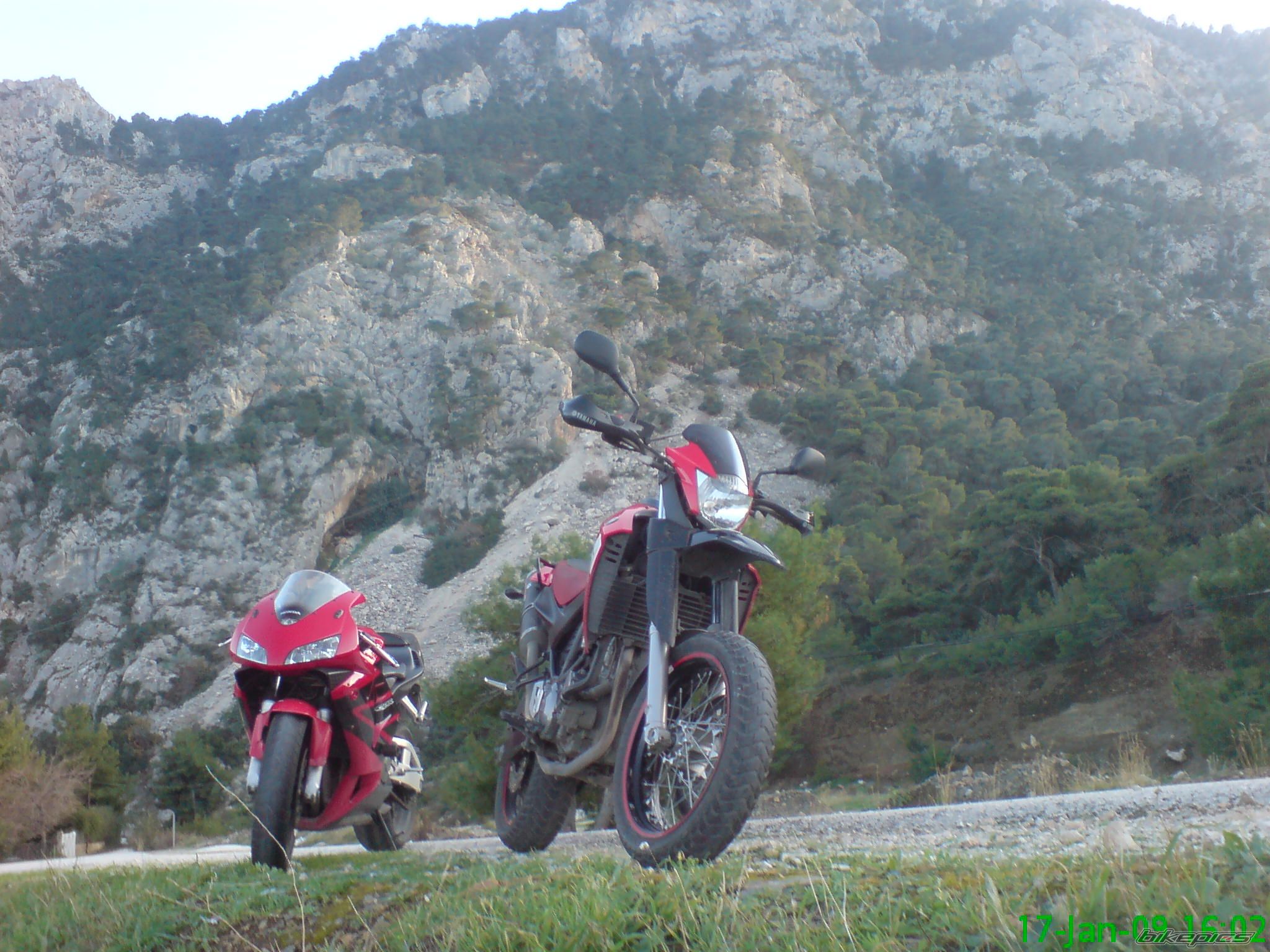 Photo 1542334
