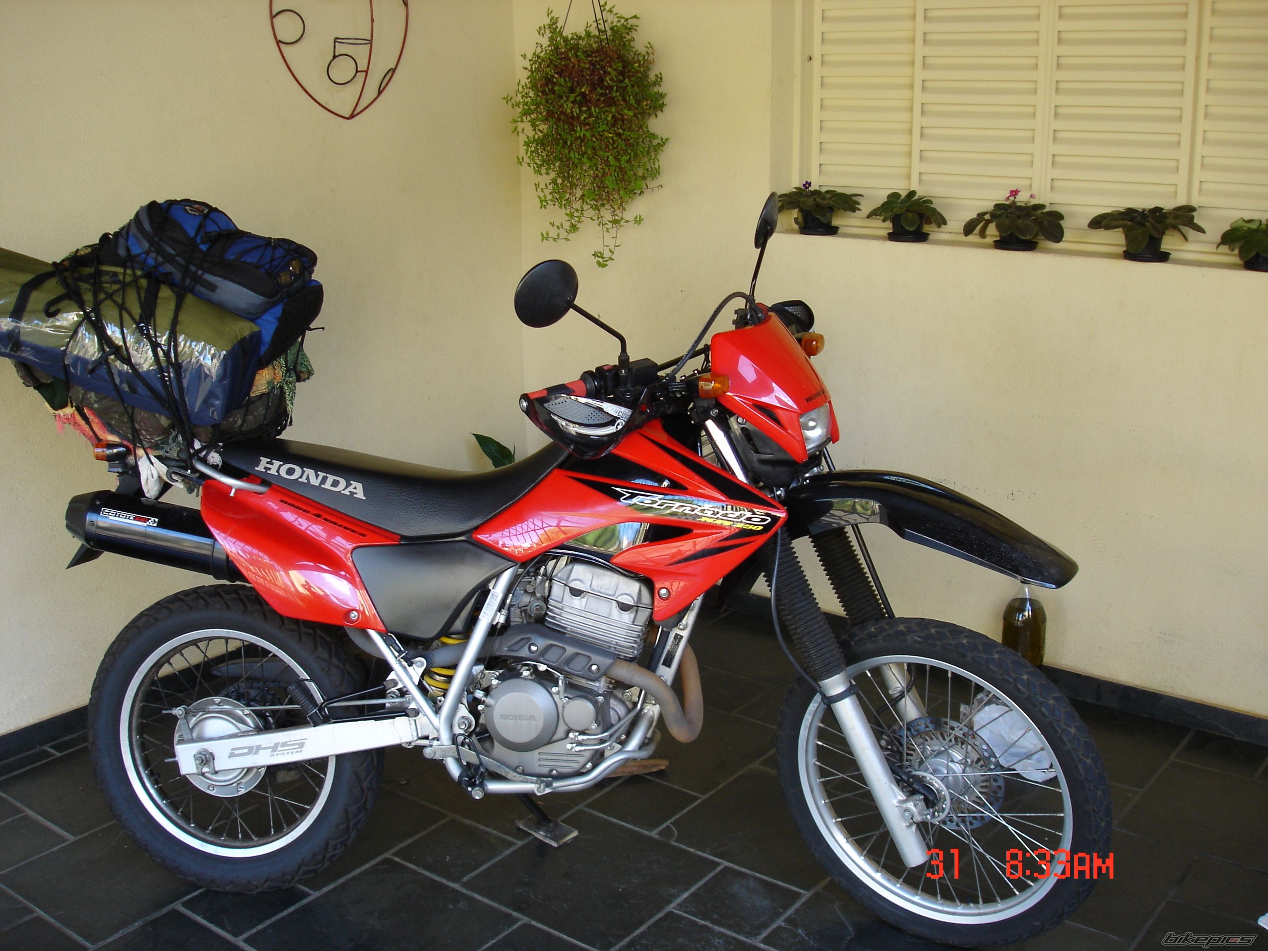 Photo 1542335